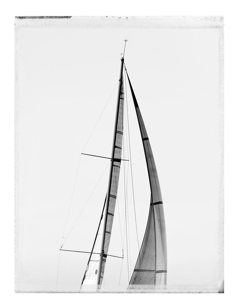 REGATTA 