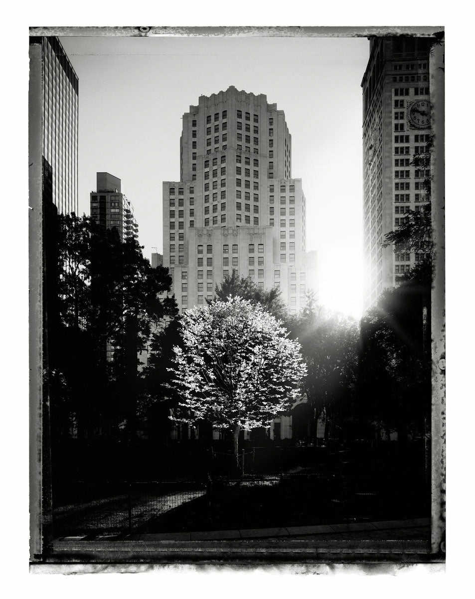 MADISON SQUARE PARK I