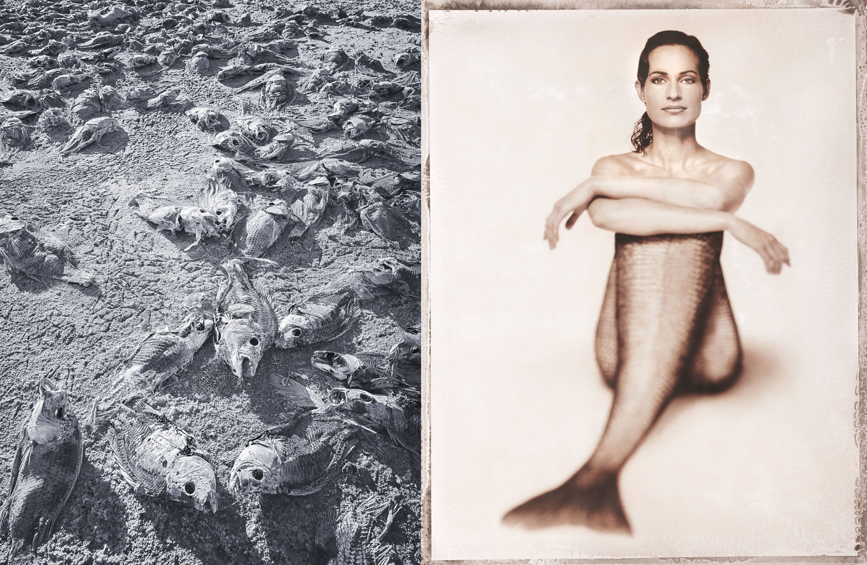 Mermaid
