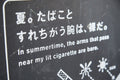 Summertime Cigarette - Prince Denmark