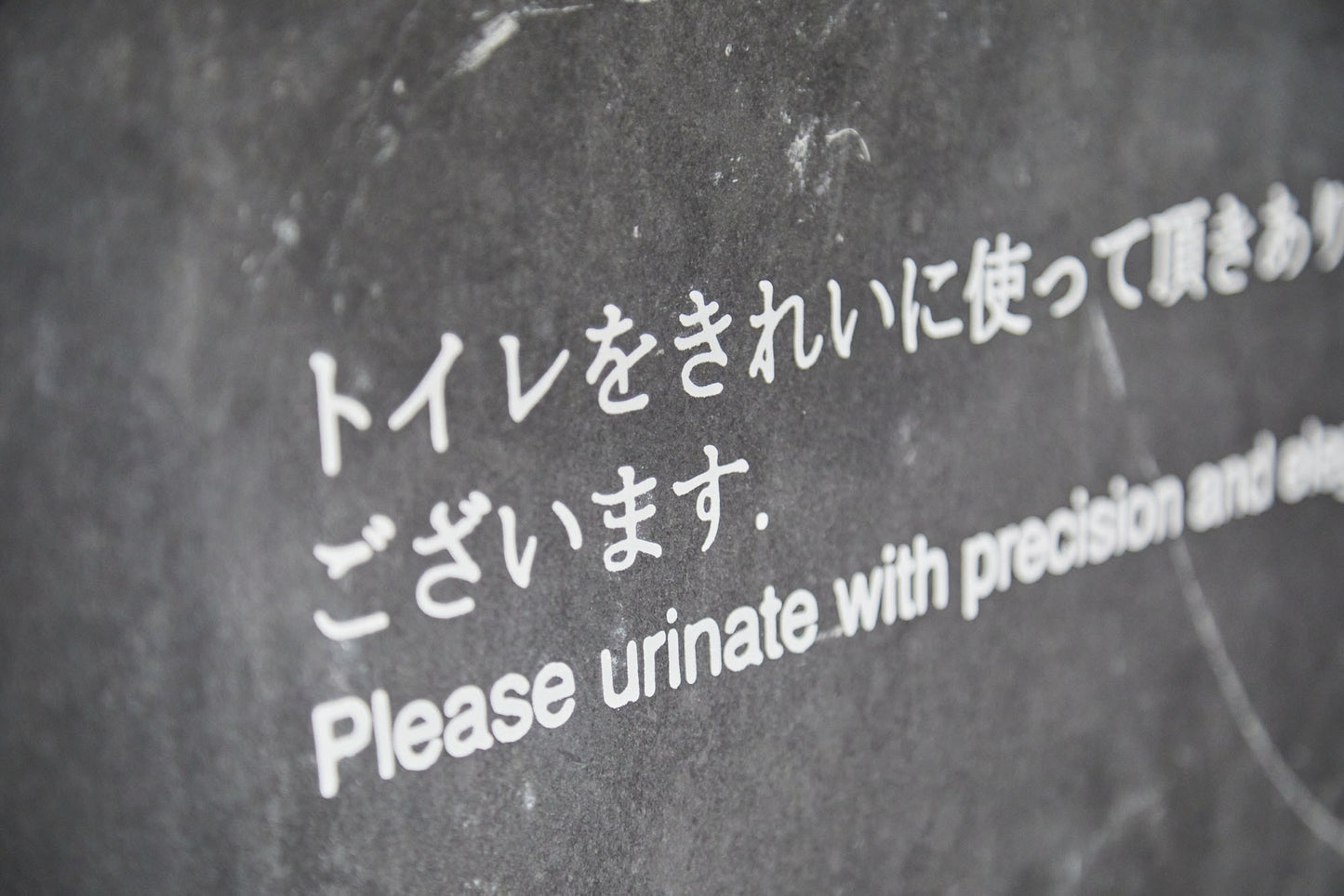 Please urinate with precision and elegance