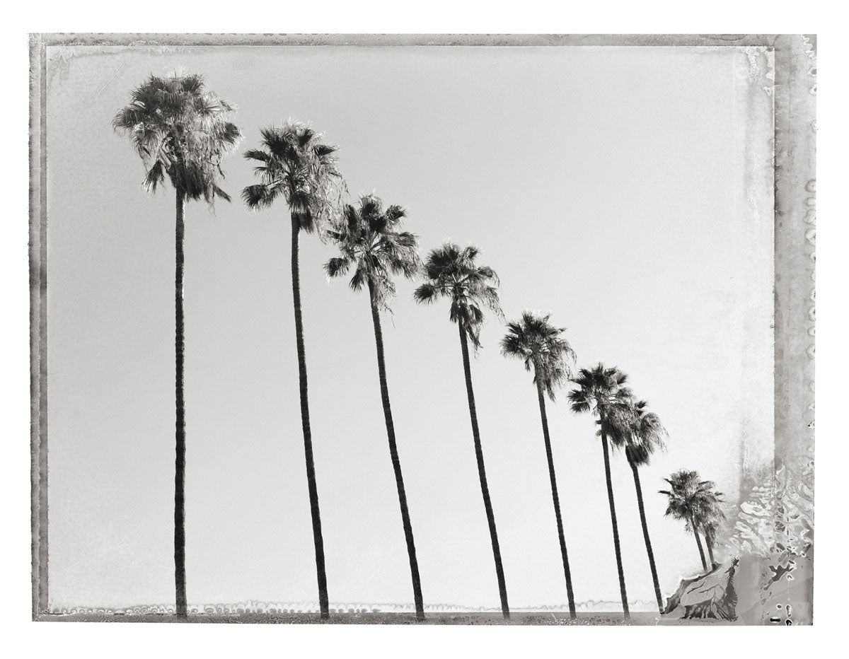 HOLLYWOOD BOULEVARD