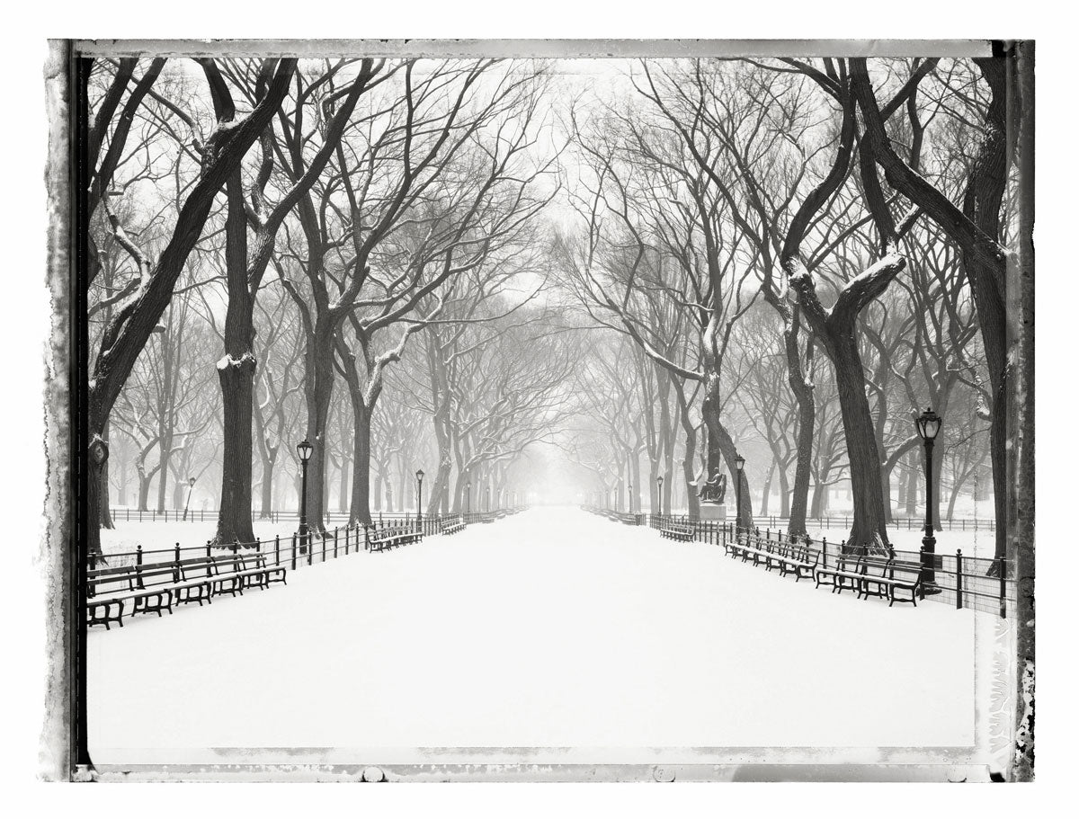 CENTRAL PARK, THE MALL II