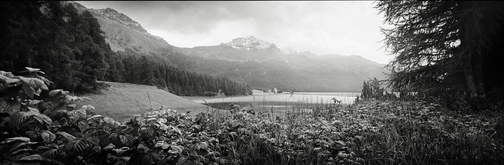 Lake Silvaplana II