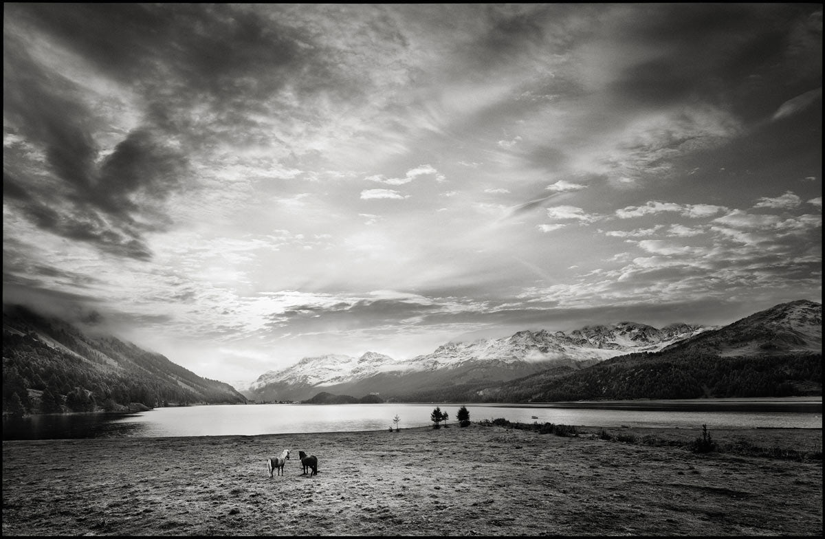Plaun da Lej II, Lake Sils