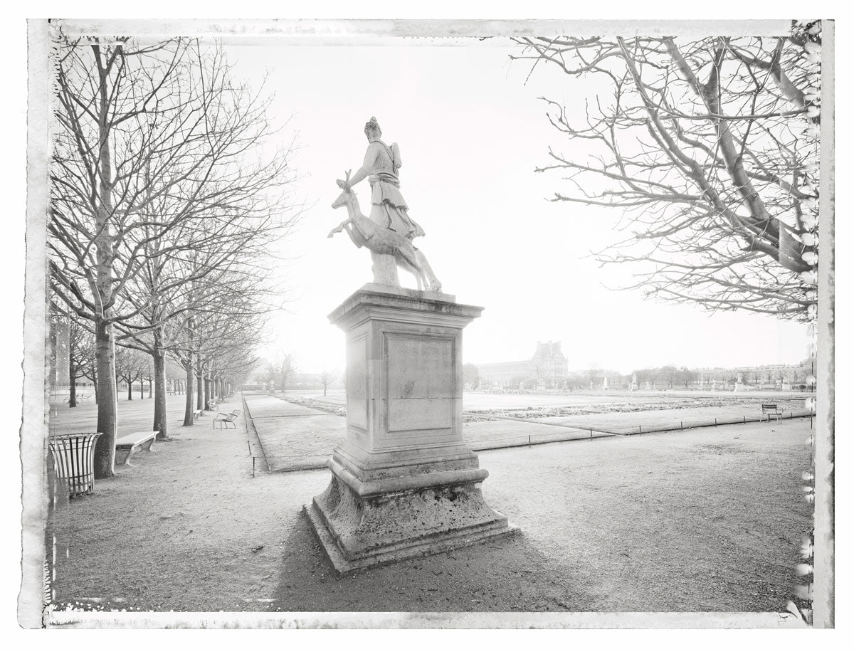 Jardin des Tuileries IV