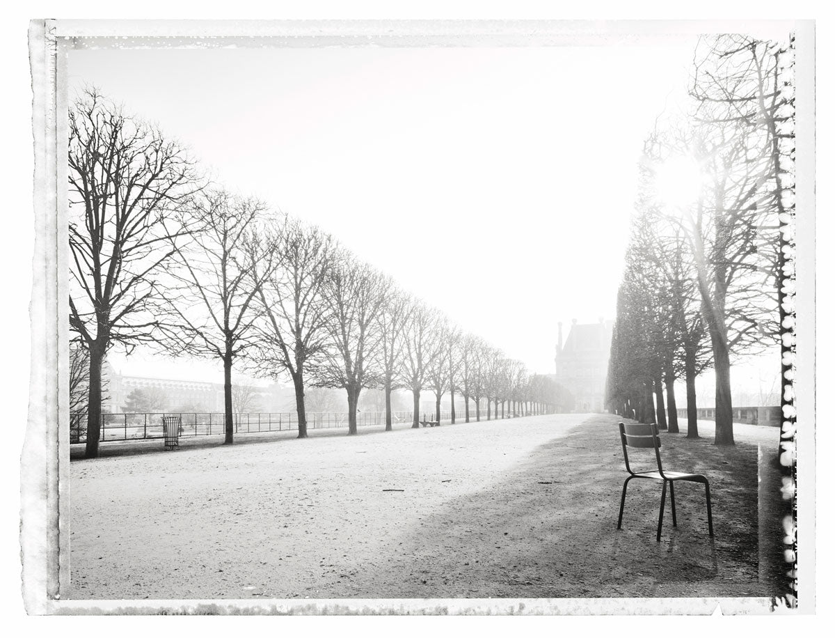 Jardin des Tuileries VI
