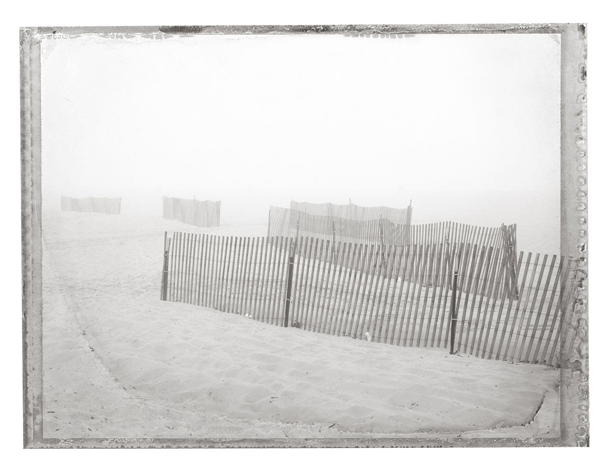 VENICE BEACH II