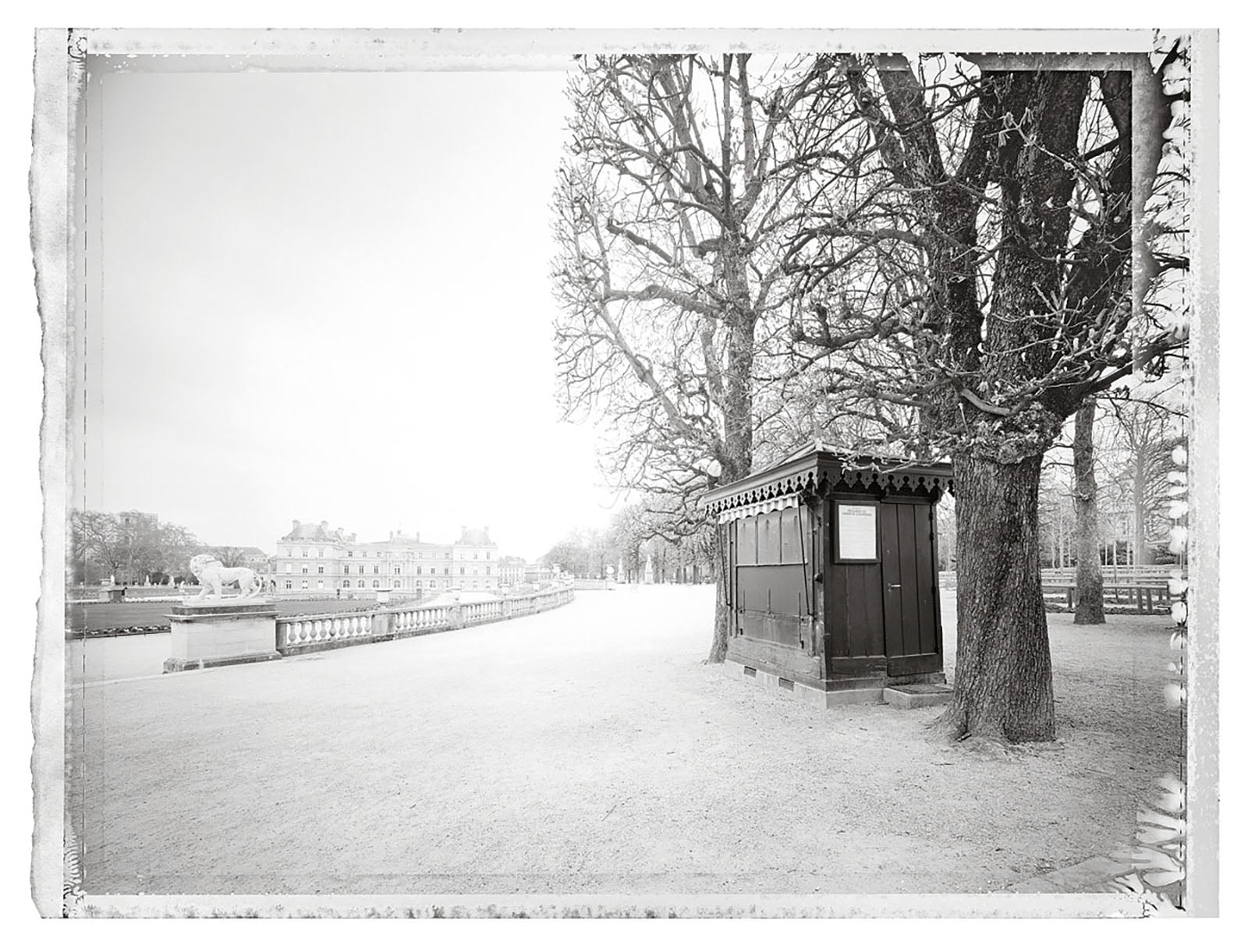 Jardin du Luxembourg I