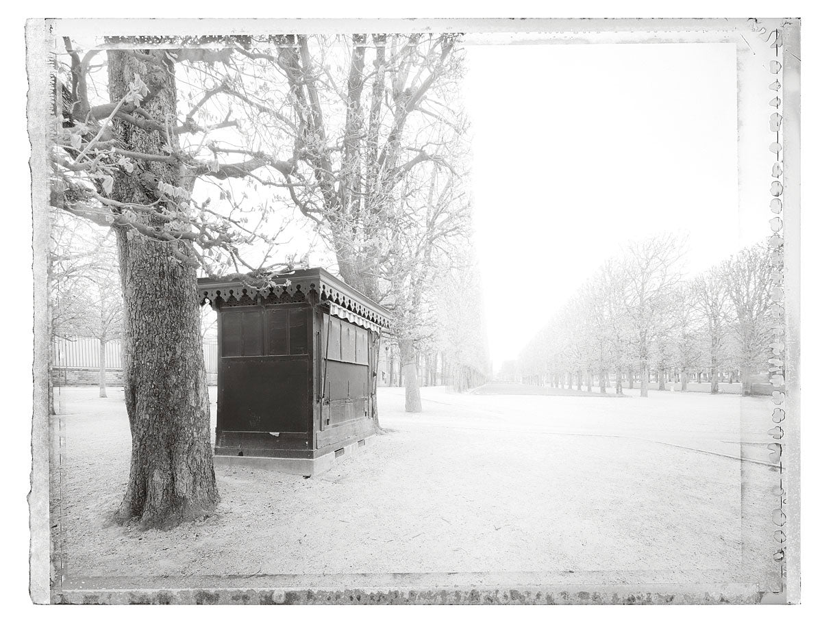 Jardin du Luxembourg II