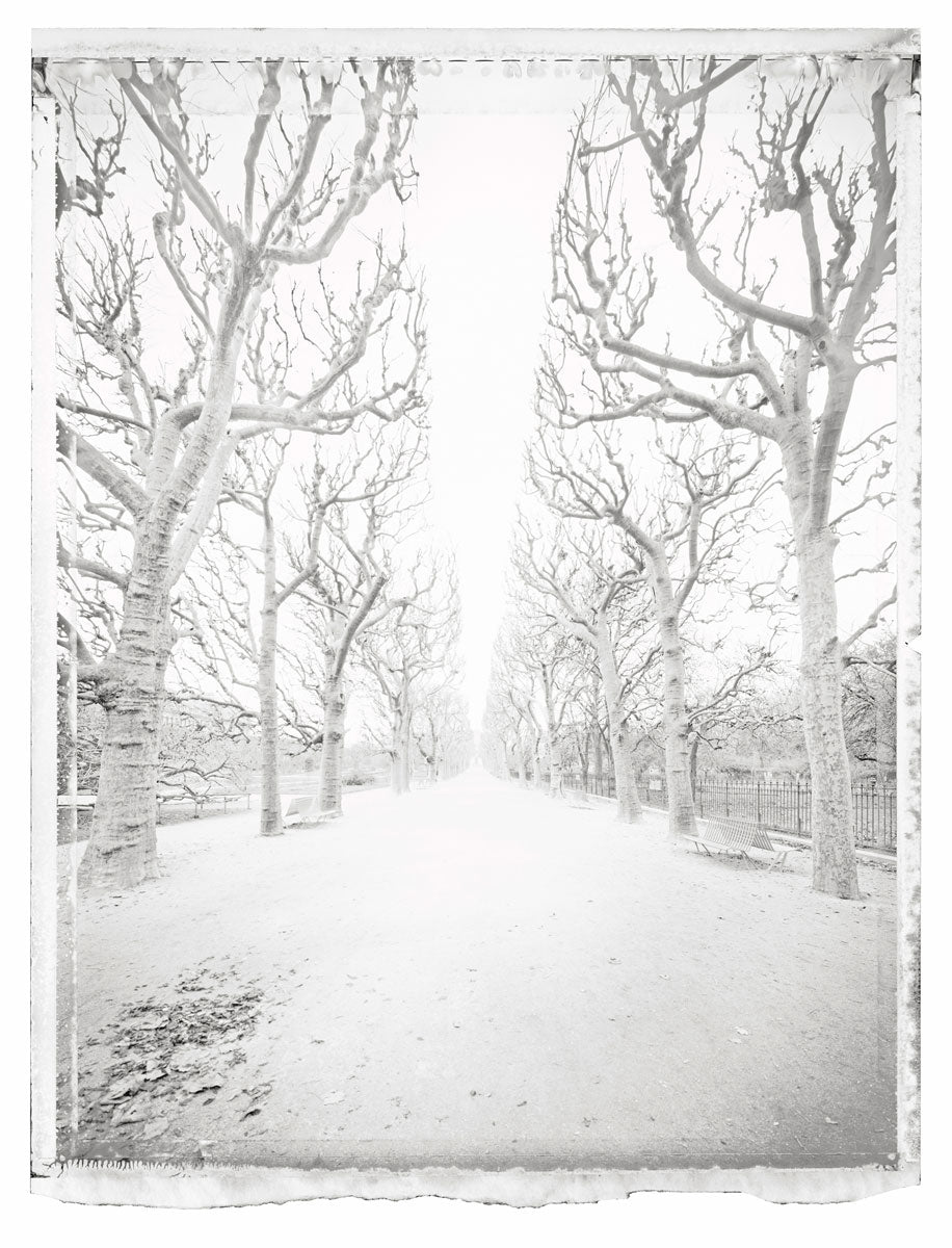 Jardin des Plantes