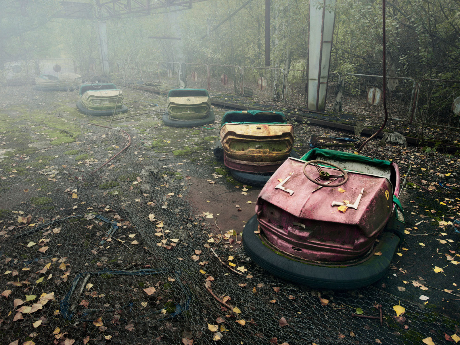 BITTERSWEET 03, 2015