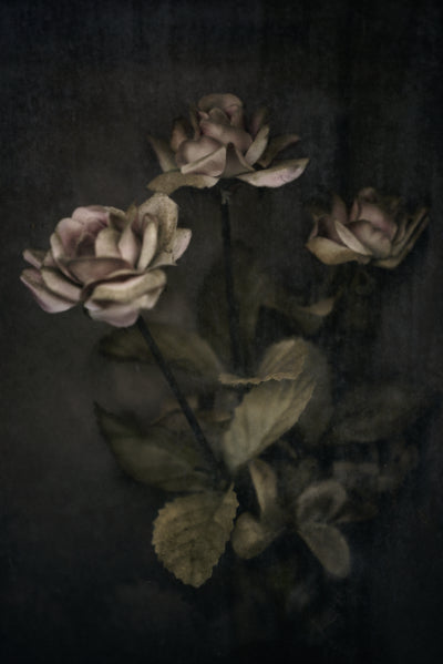 ETERNITY 01