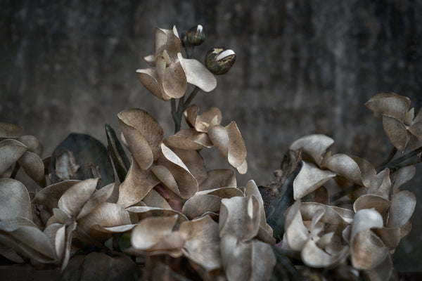 ETERNITY 05