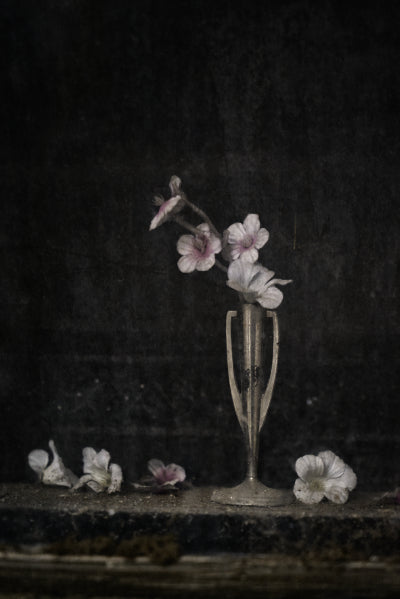 ETERNITY 06