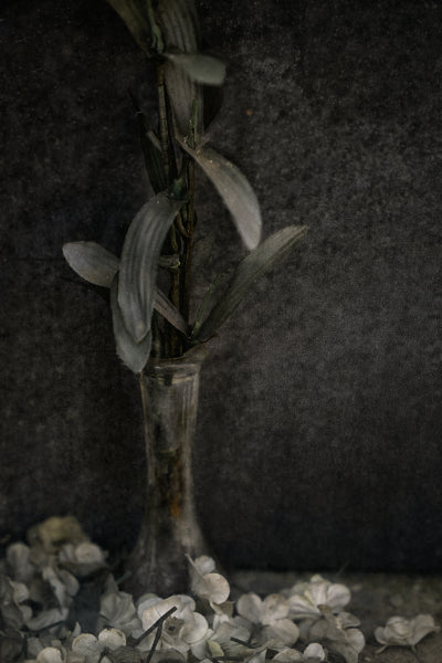 ETERNITY 07
