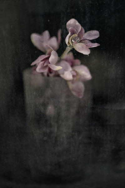 ETERNITY 08