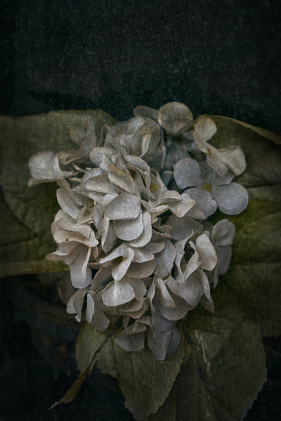 ETERNITY 11