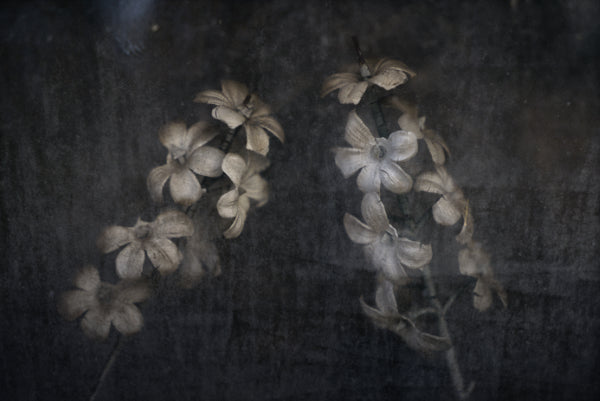 ETERNITY 16