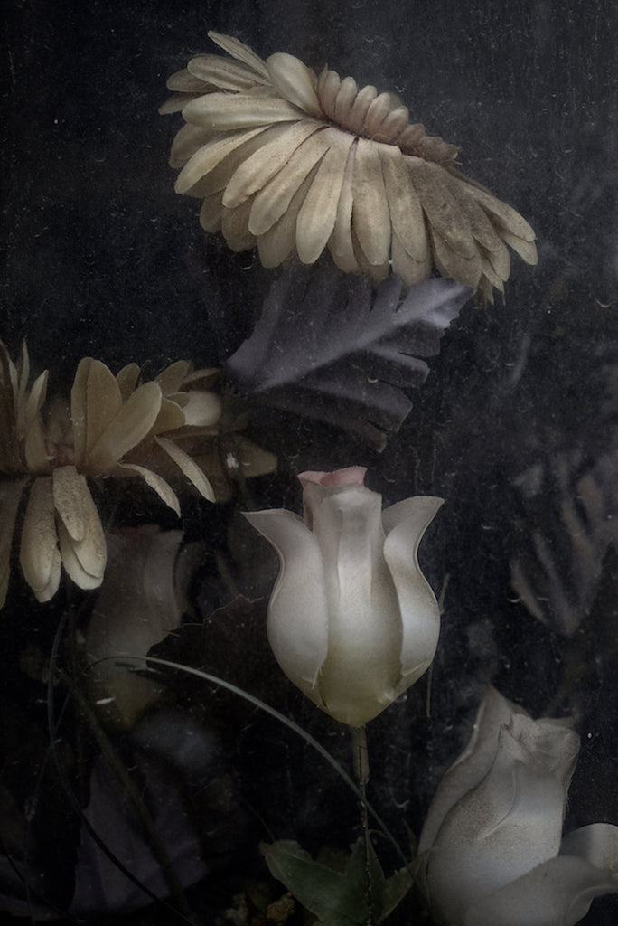 ETERNITY 36