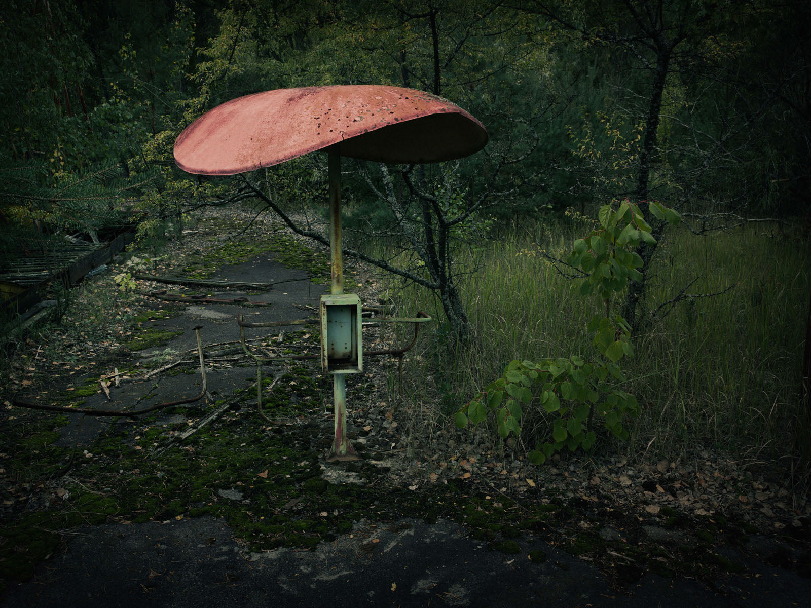 BITTERSWEET 24, 2015