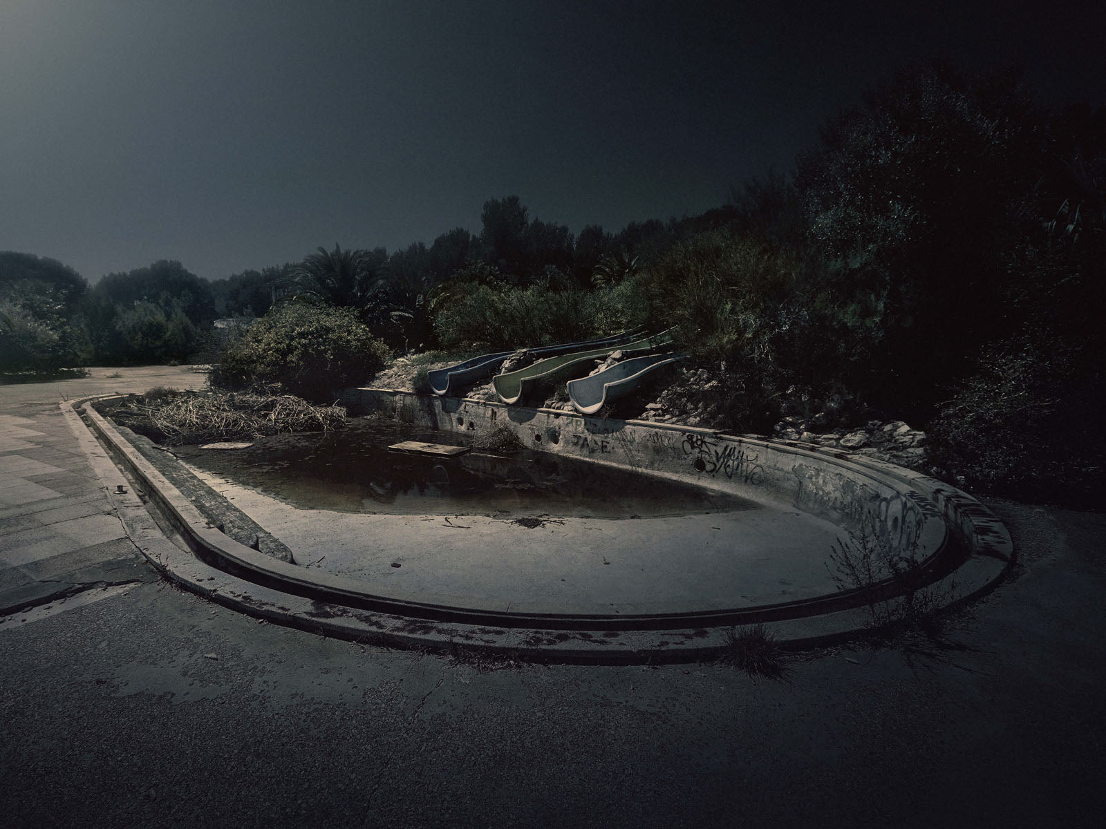 BITTERSWEET 29, 2010