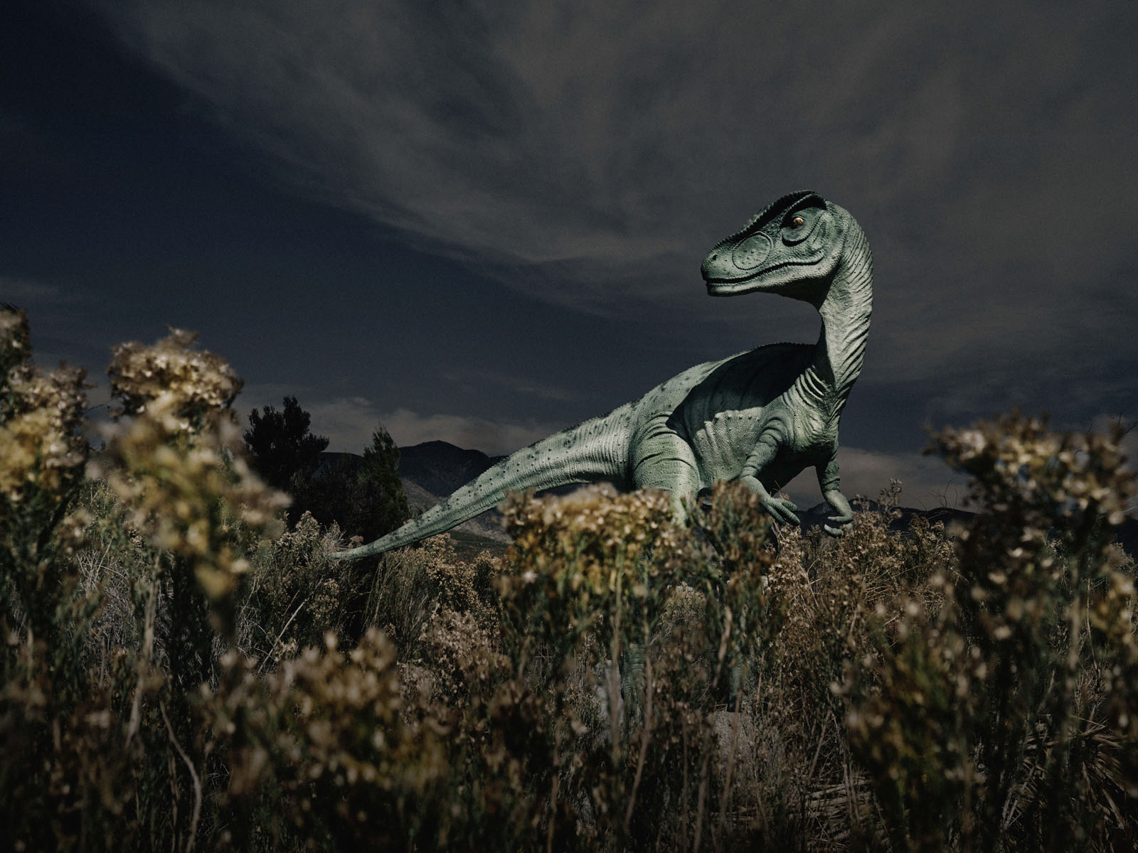 BITTERSWEET 30, 2014