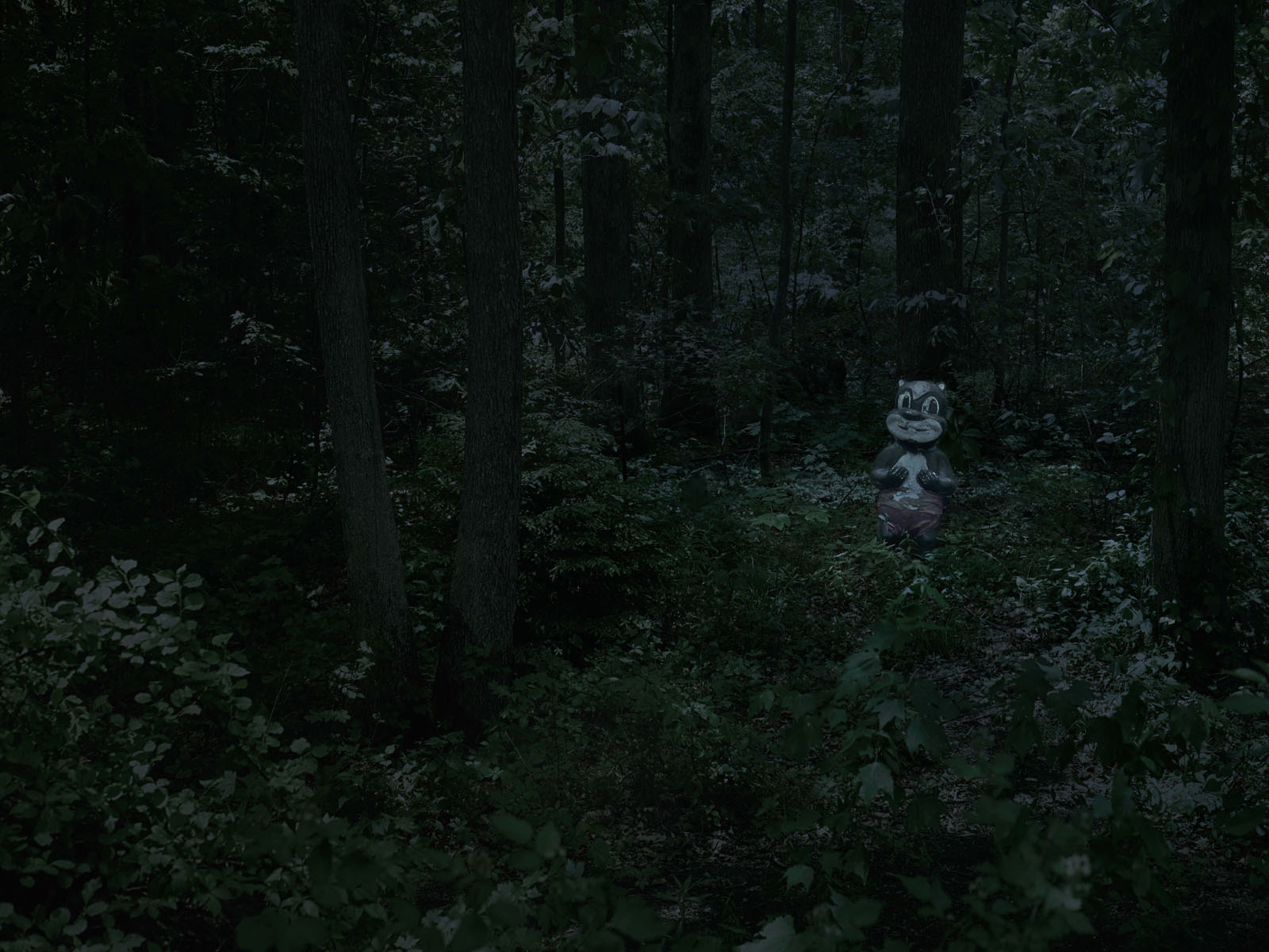 BITTERSWEET 41, 2016