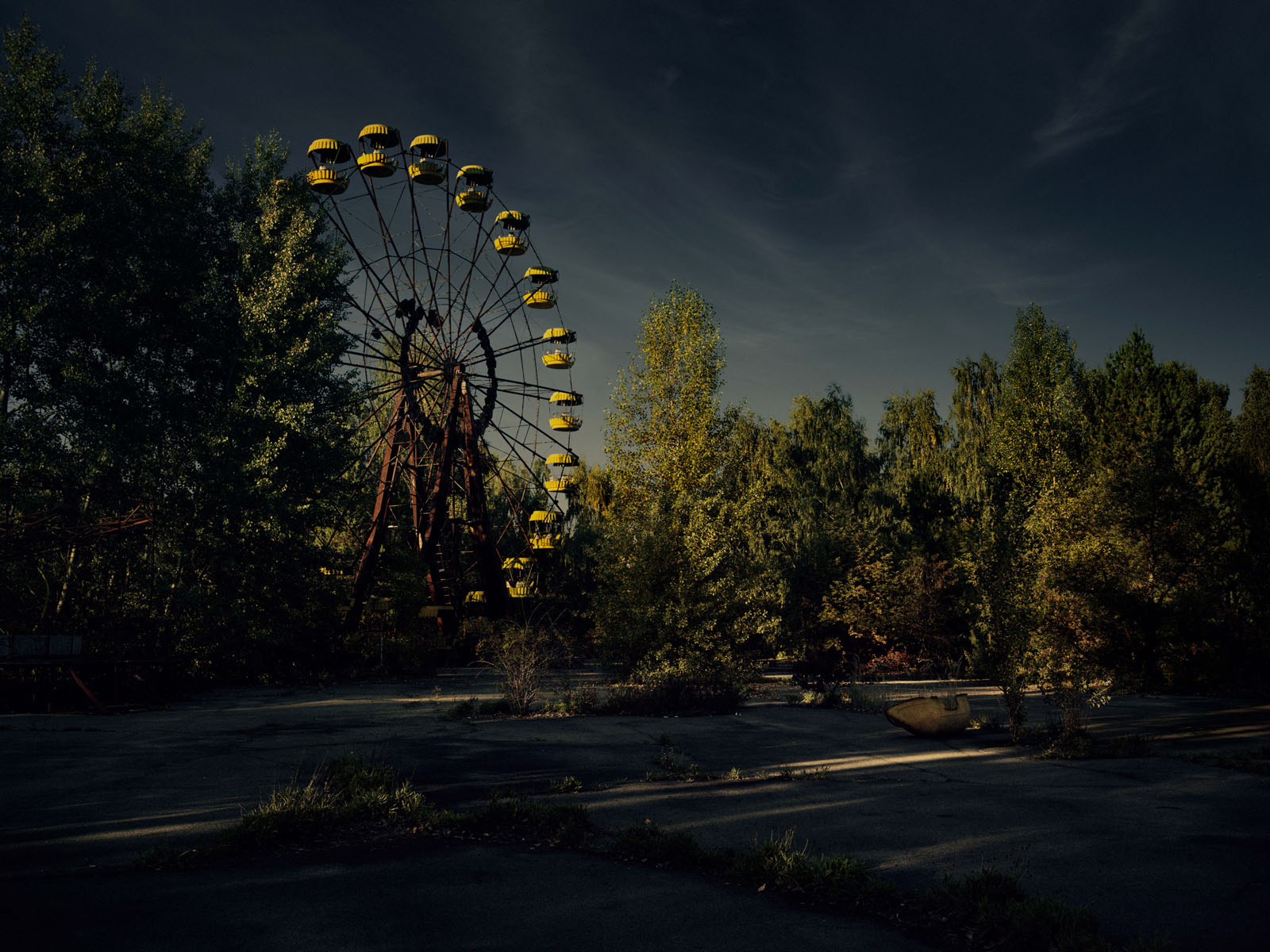 BITTERSWEET 44, 2015