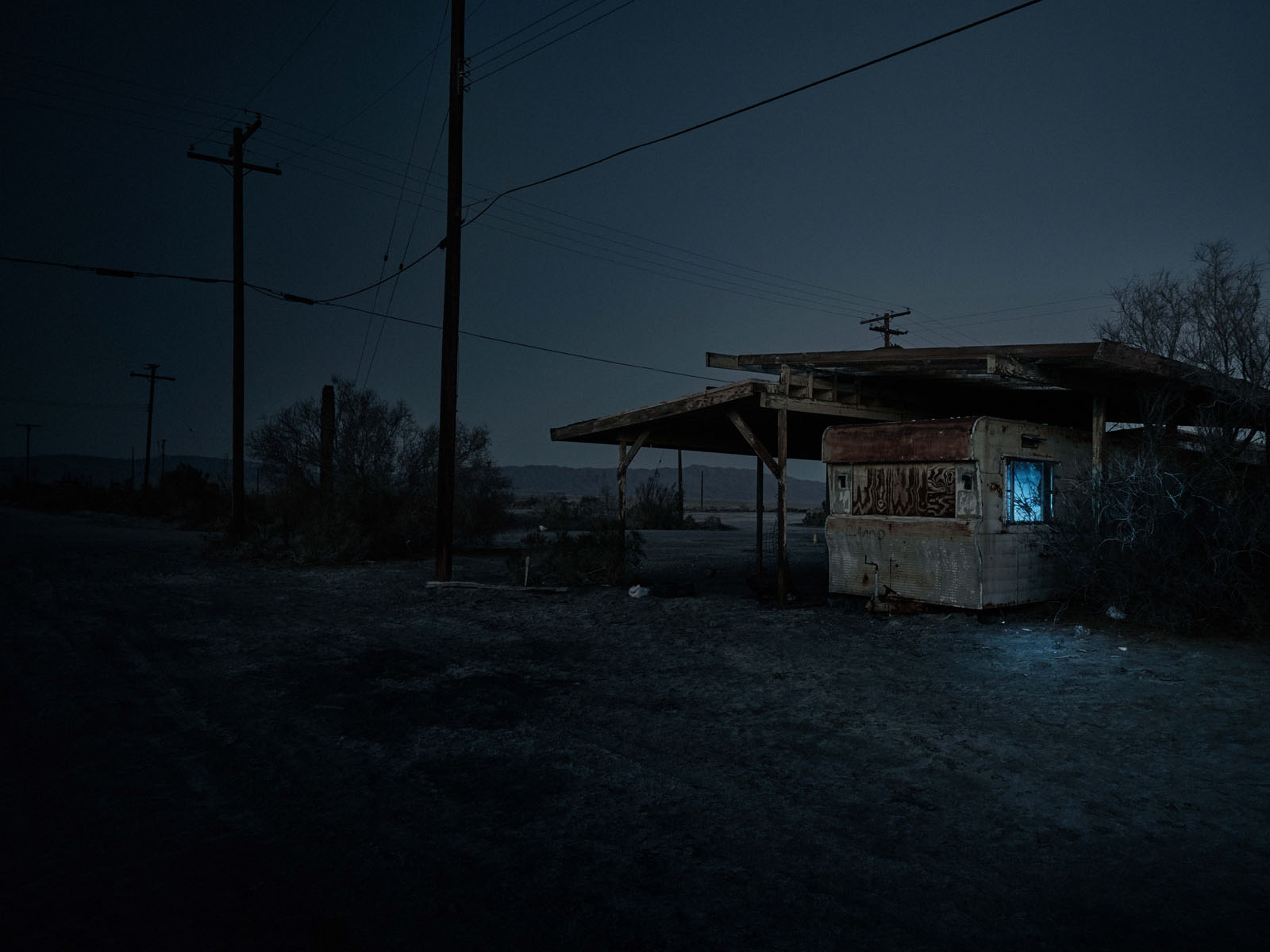 BITTERSWEET 49, 2019