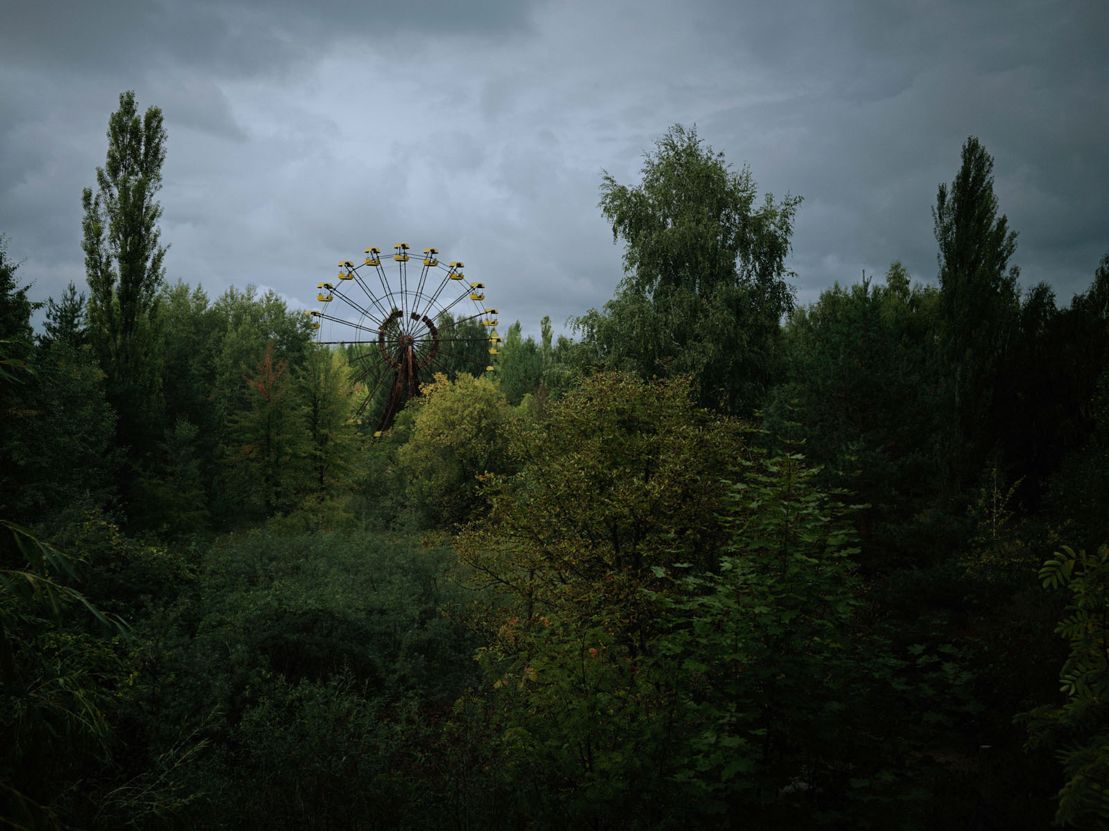 BITTERSWEET 51, 2015