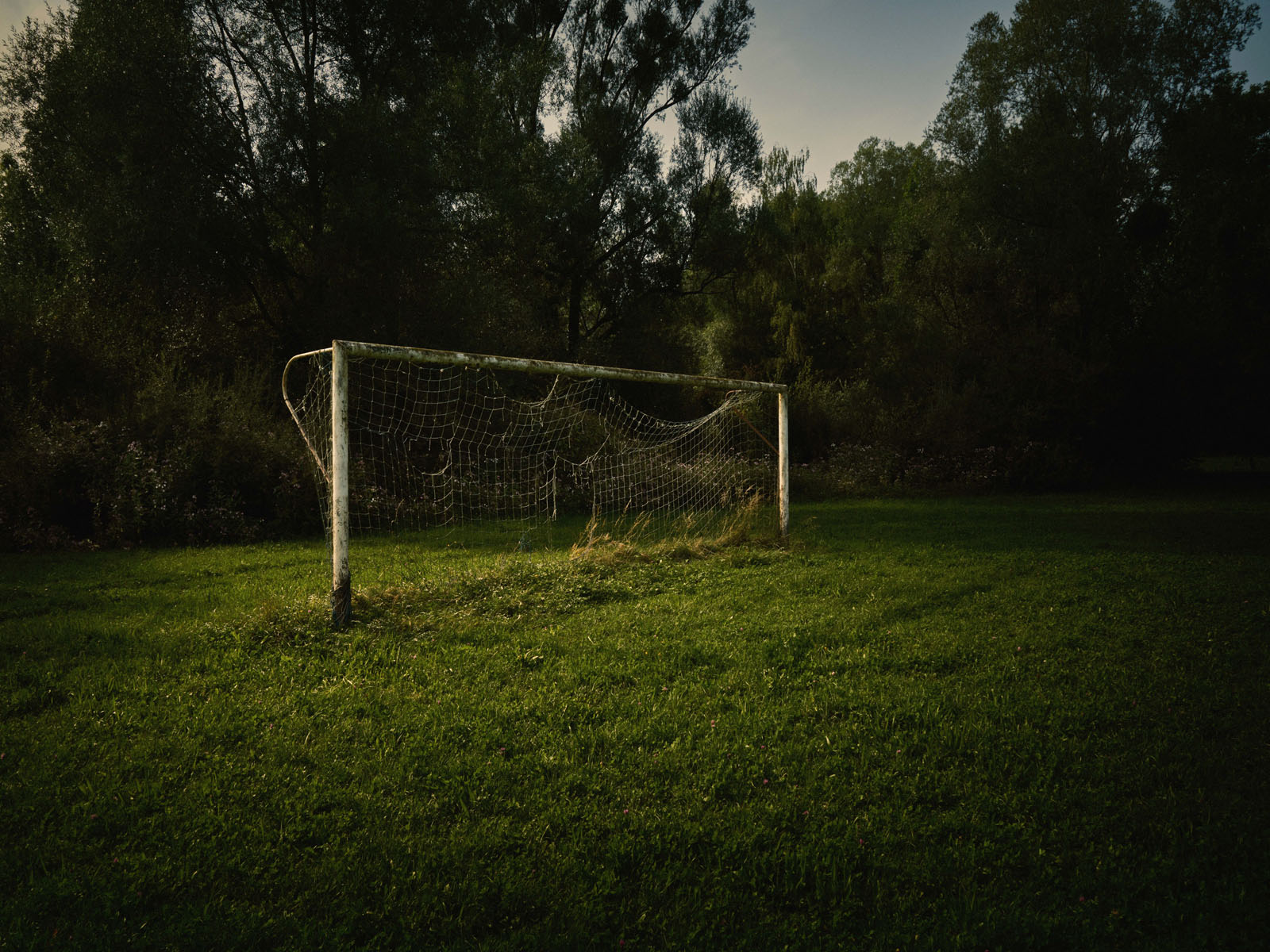 BITTERSWEET 66, 2019