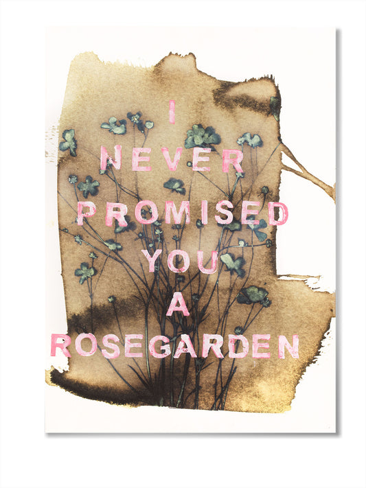 A Rose is a Rose 04