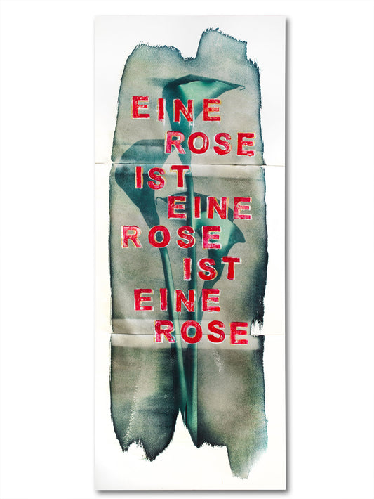 A Rose is a Rose 02