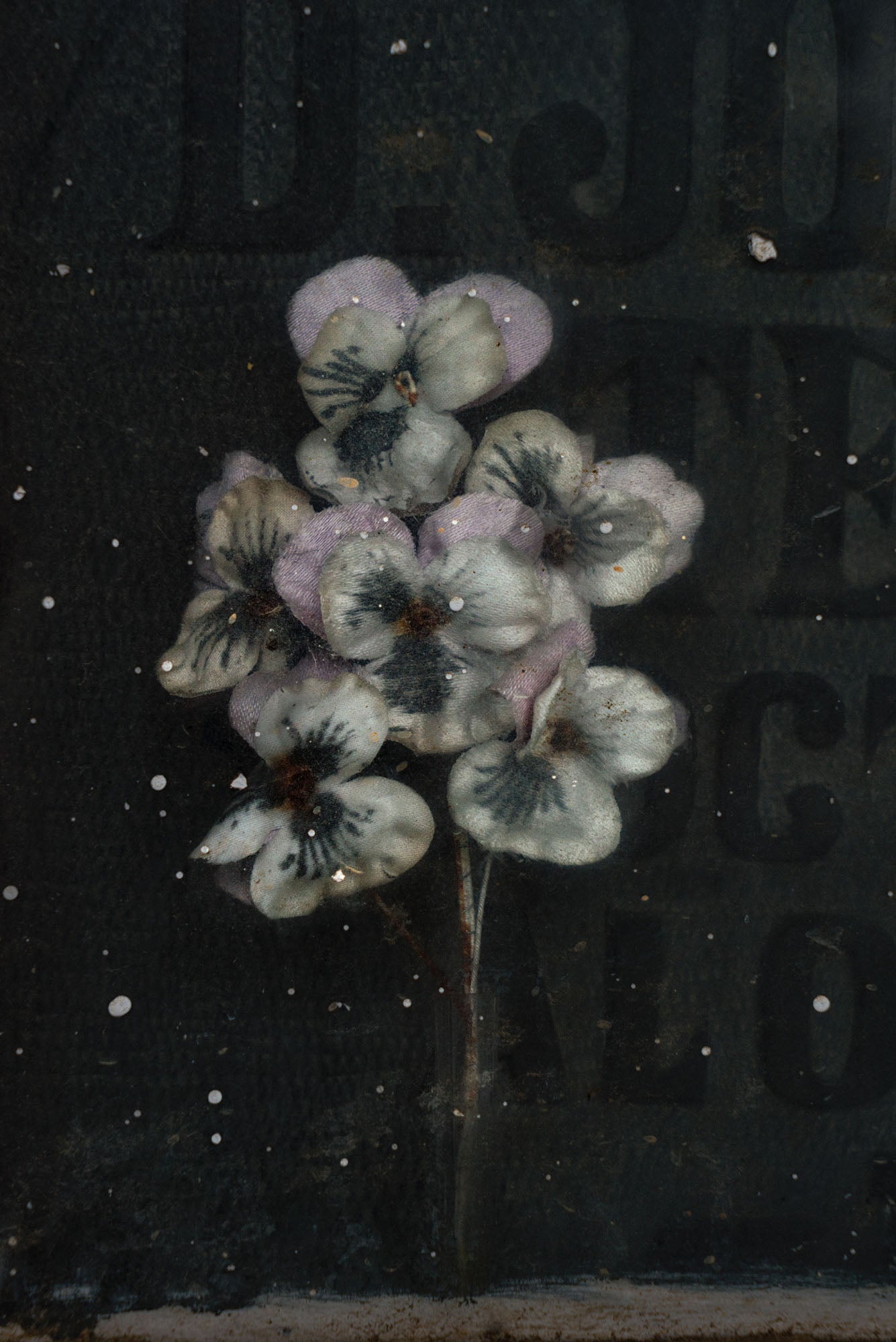 ETERNITY 03, 2008