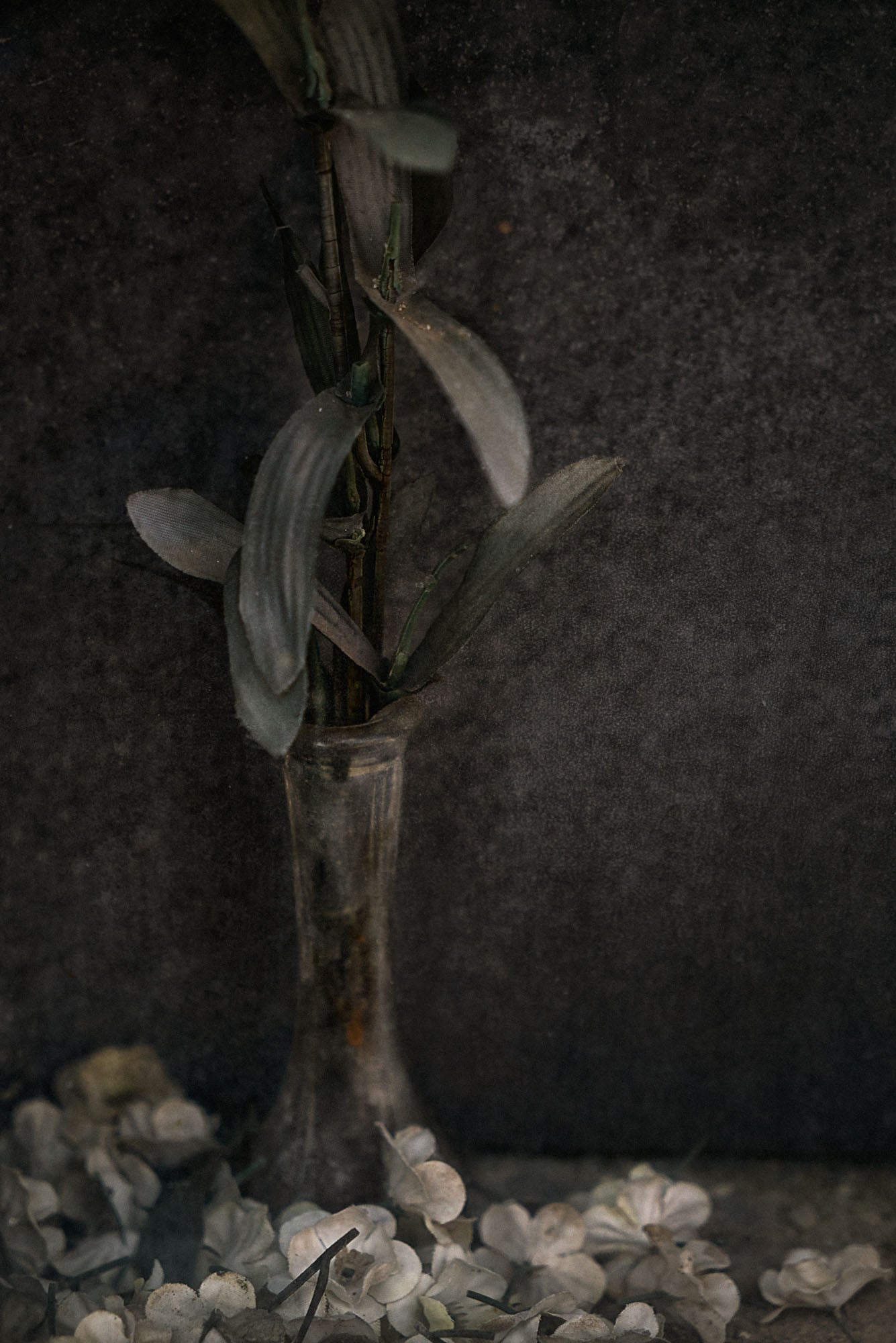 ETERNITY 07, 2008