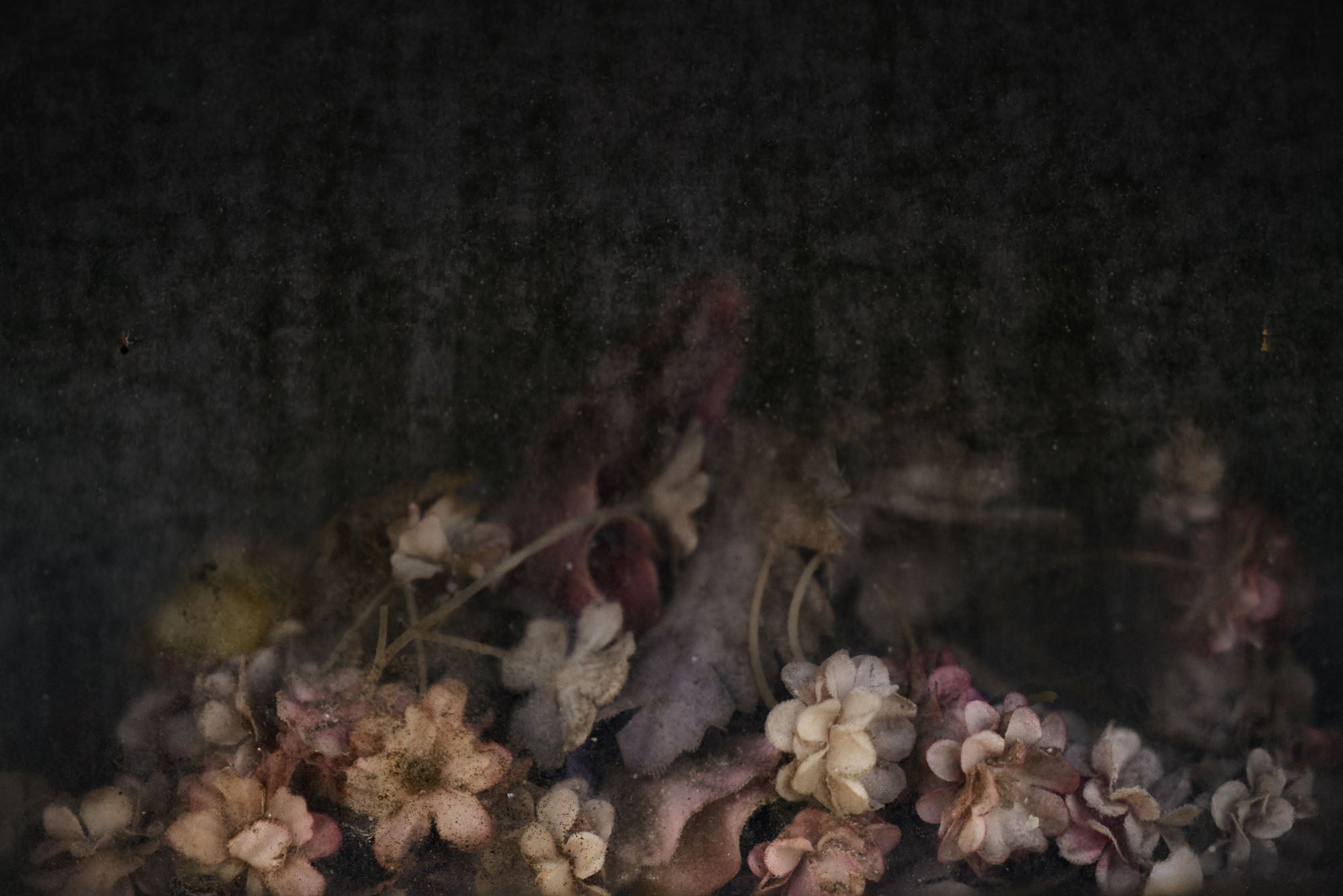ETERNITY 104, 2009