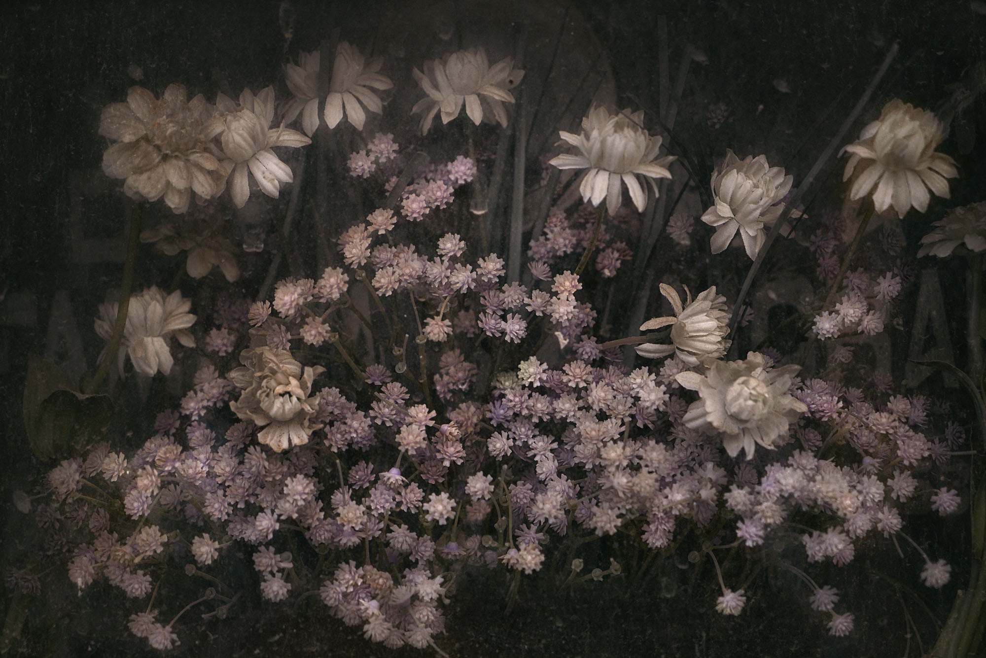 ETERNITY 15, 2006