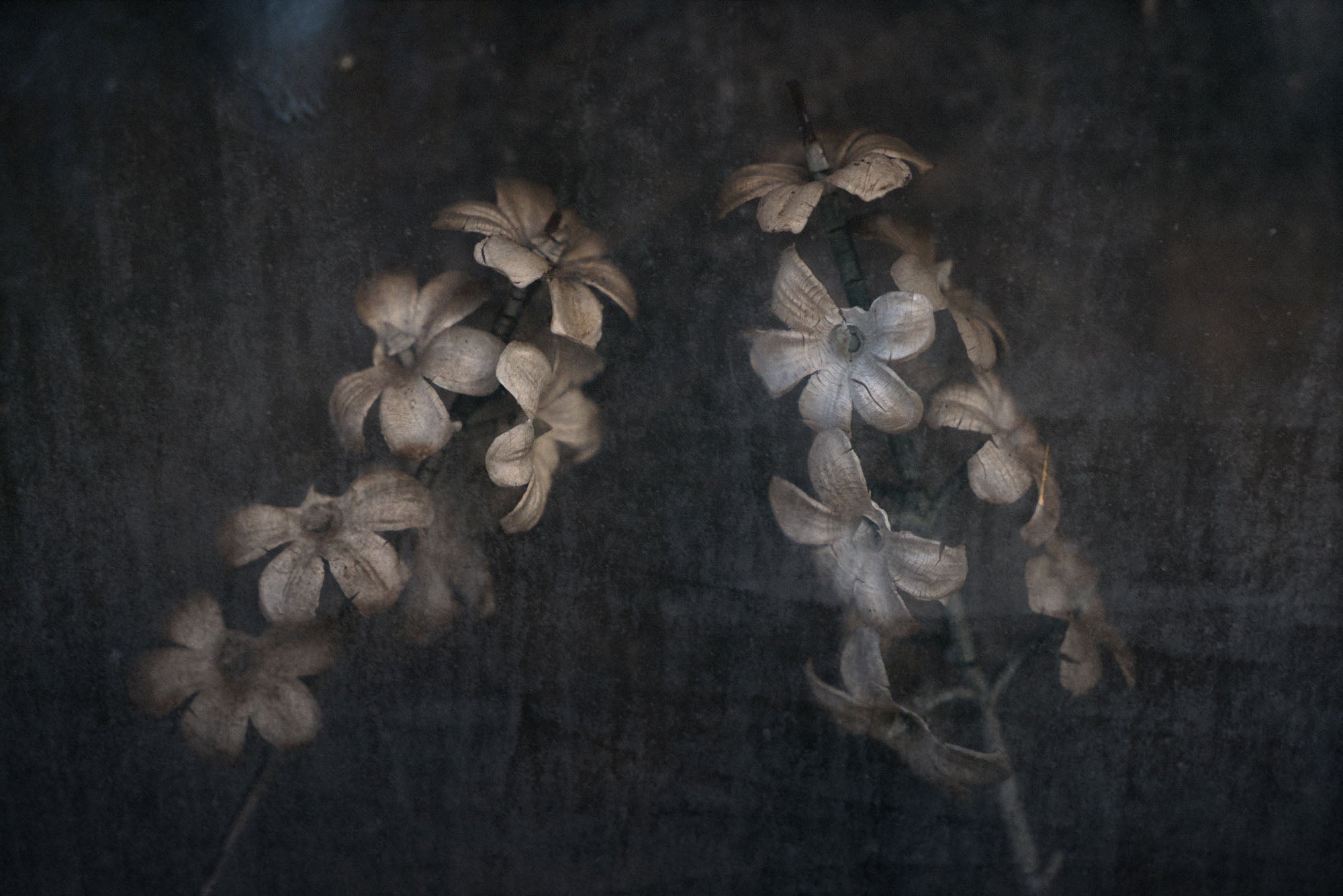 ETERNITY 16, 2006