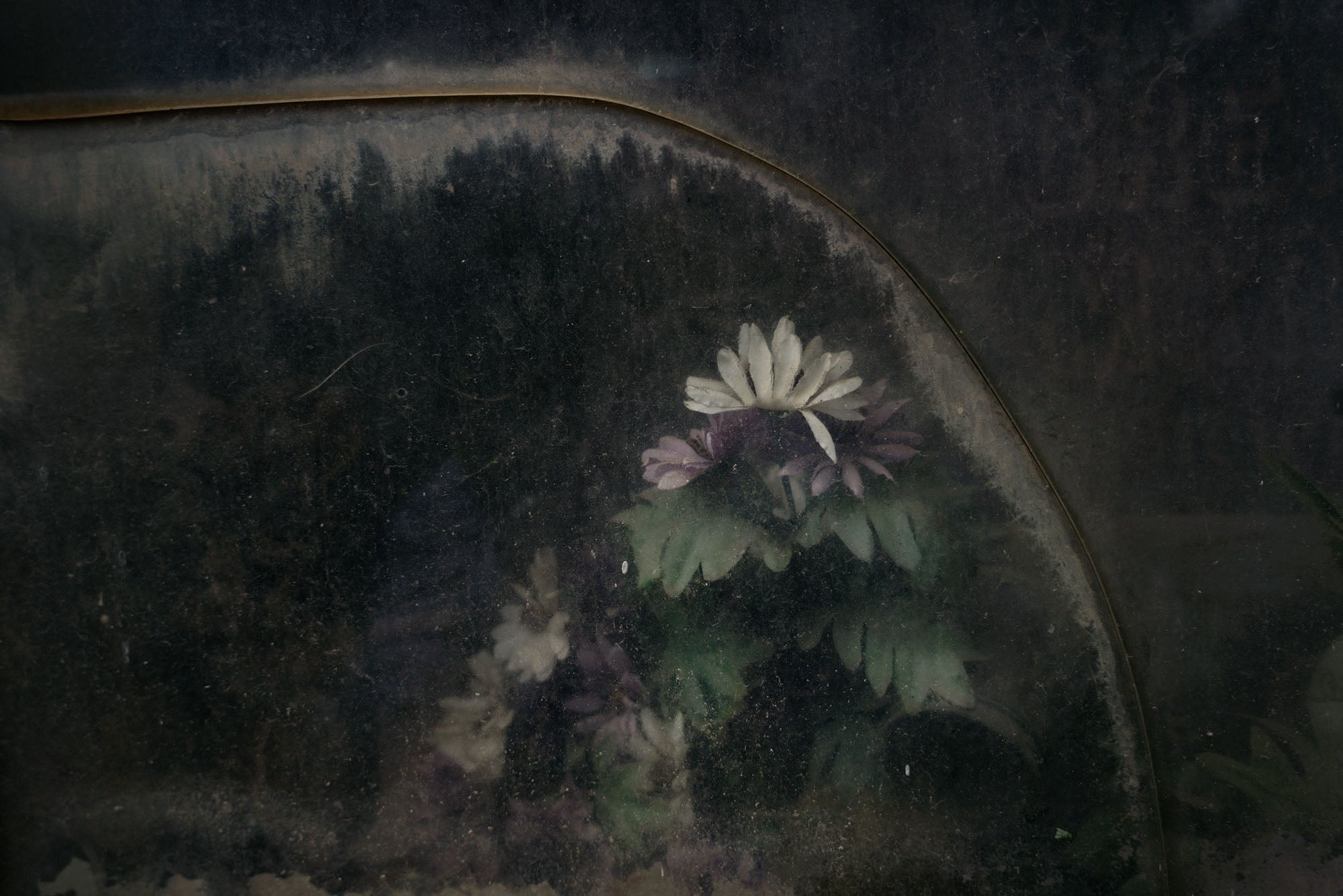 ETERNITY 17, 2009