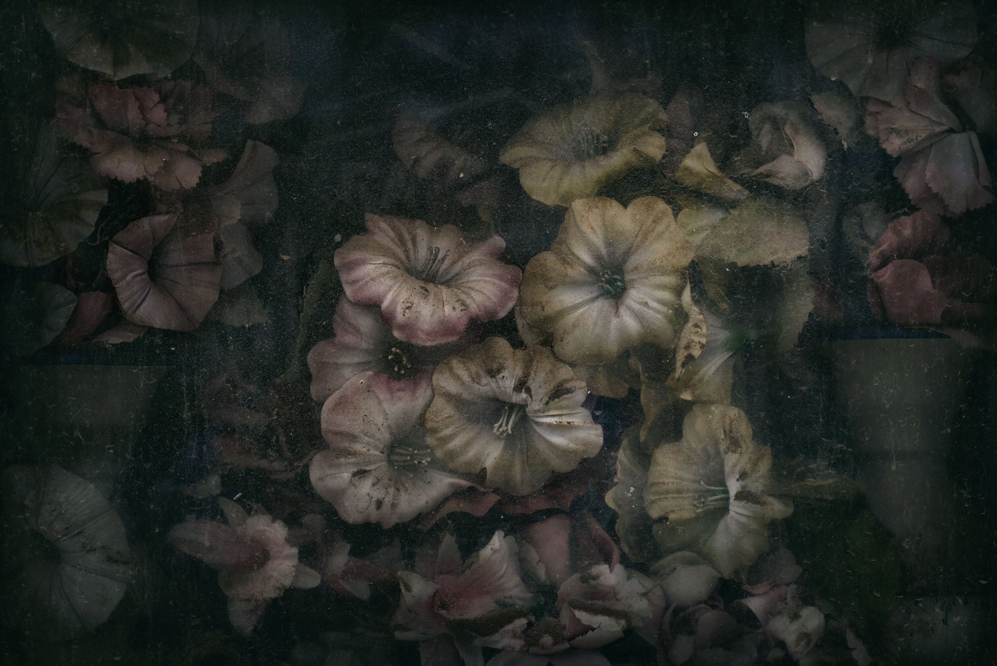 ETERNITY 18, 2011