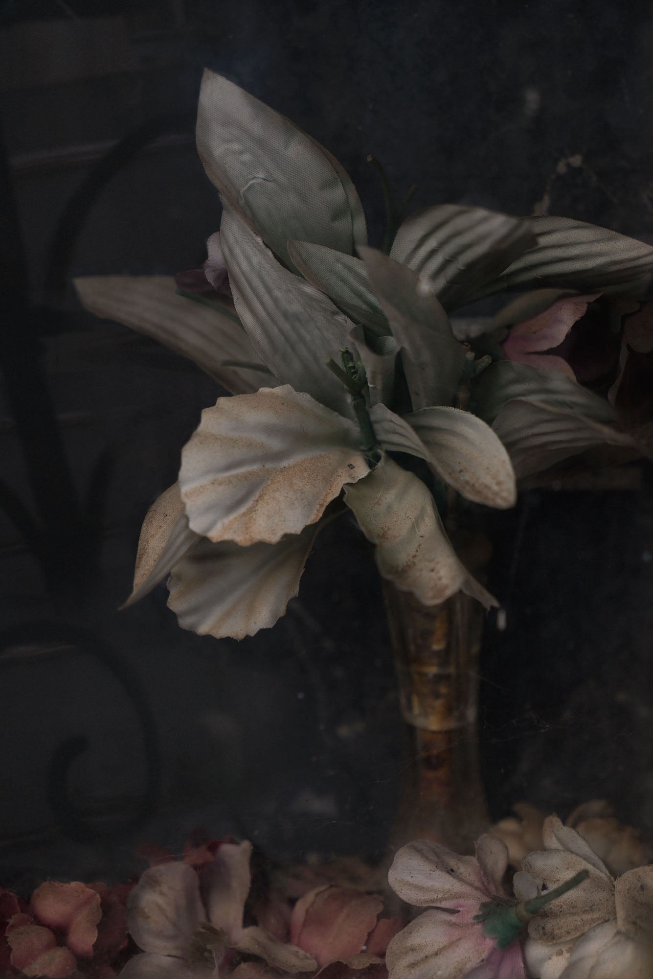 ETERNITY 19, 2010