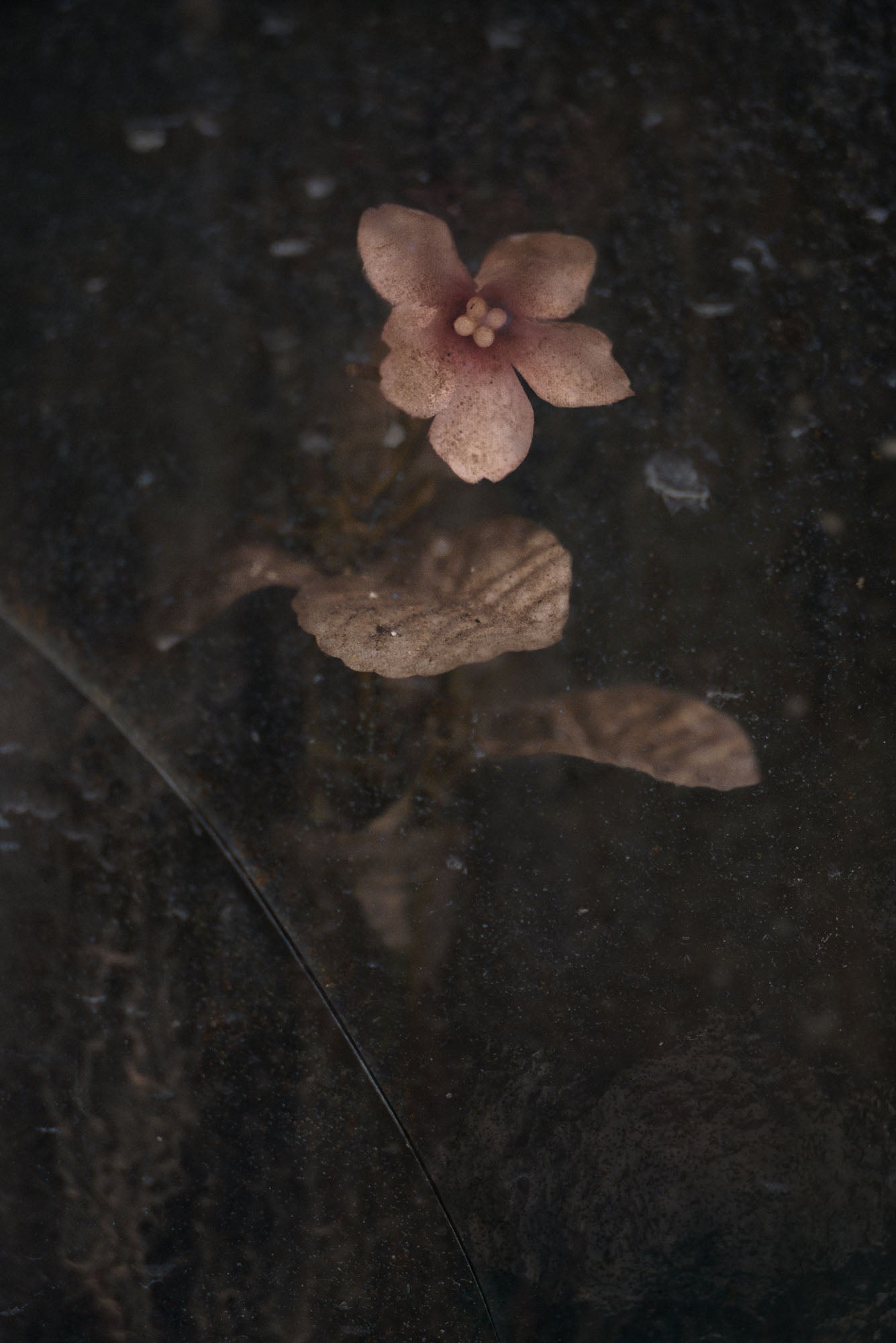 ETERNITY 26, 2009