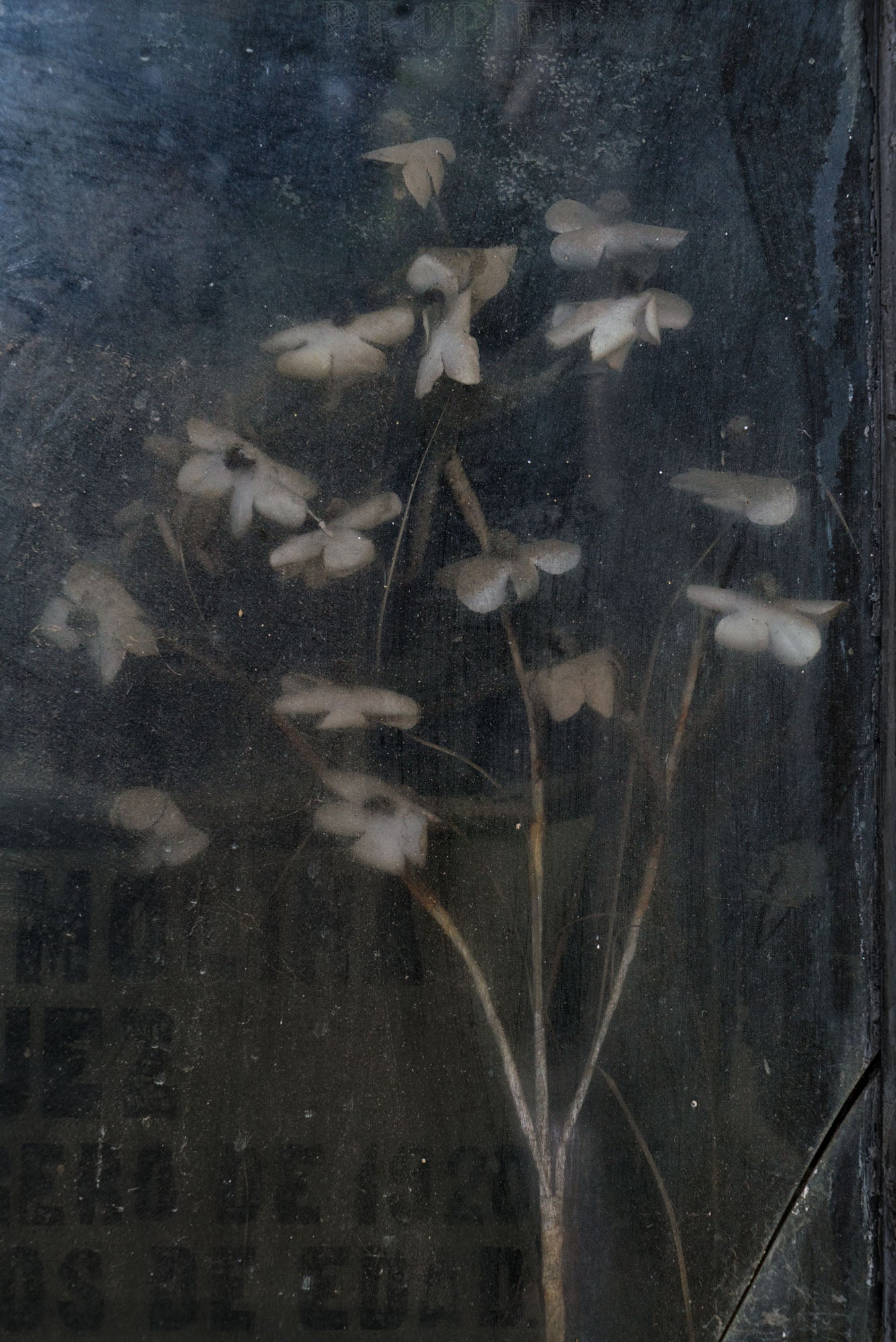 ETERNITY 30, 2007