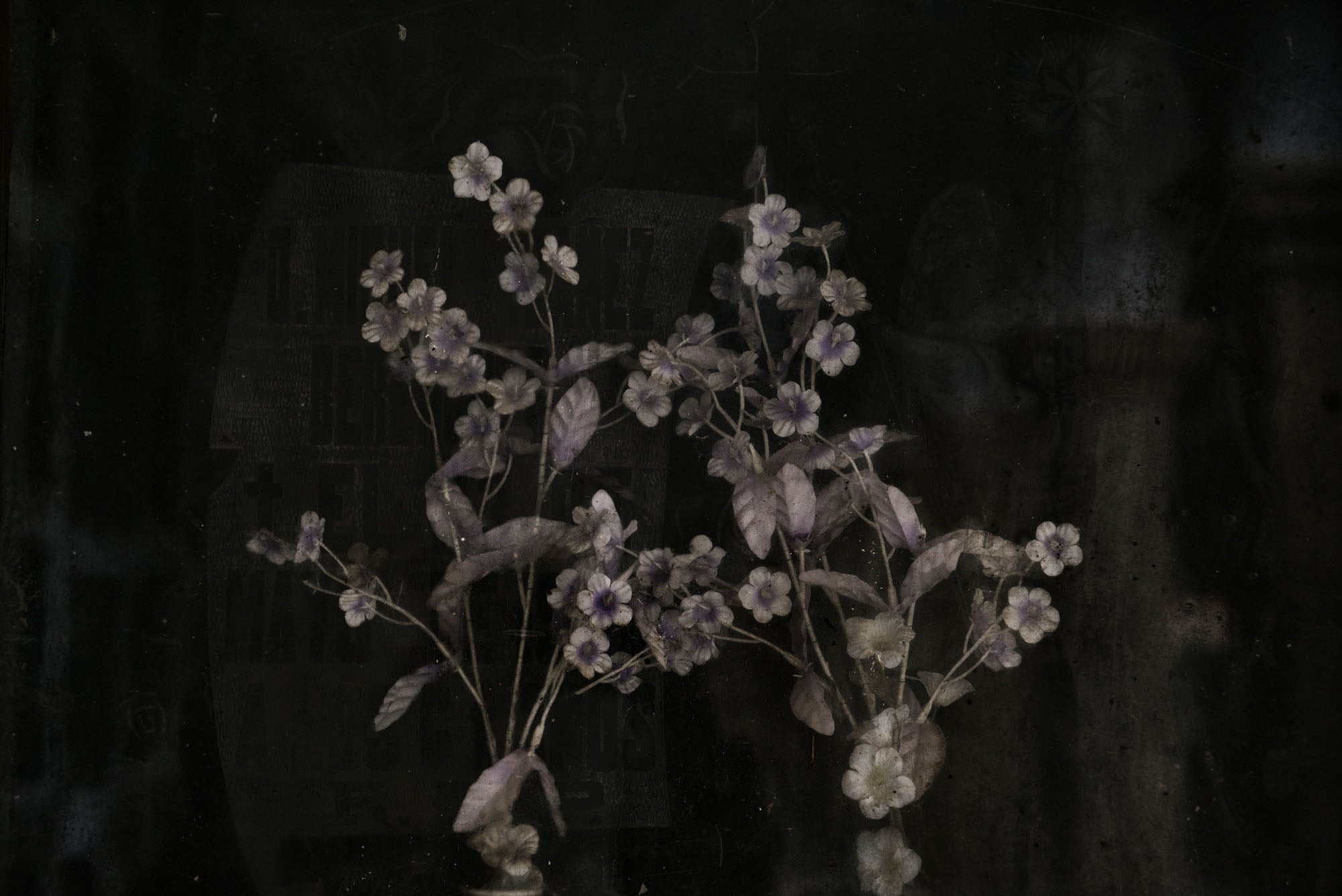 ETERNITY 31, 2005