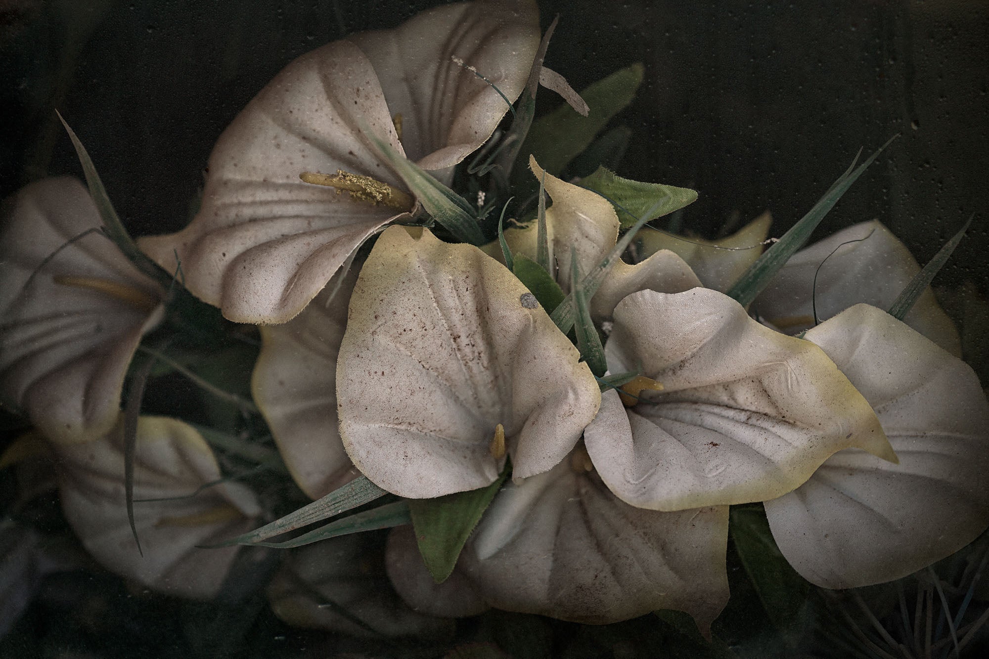 ETERNITY 34, 2005
