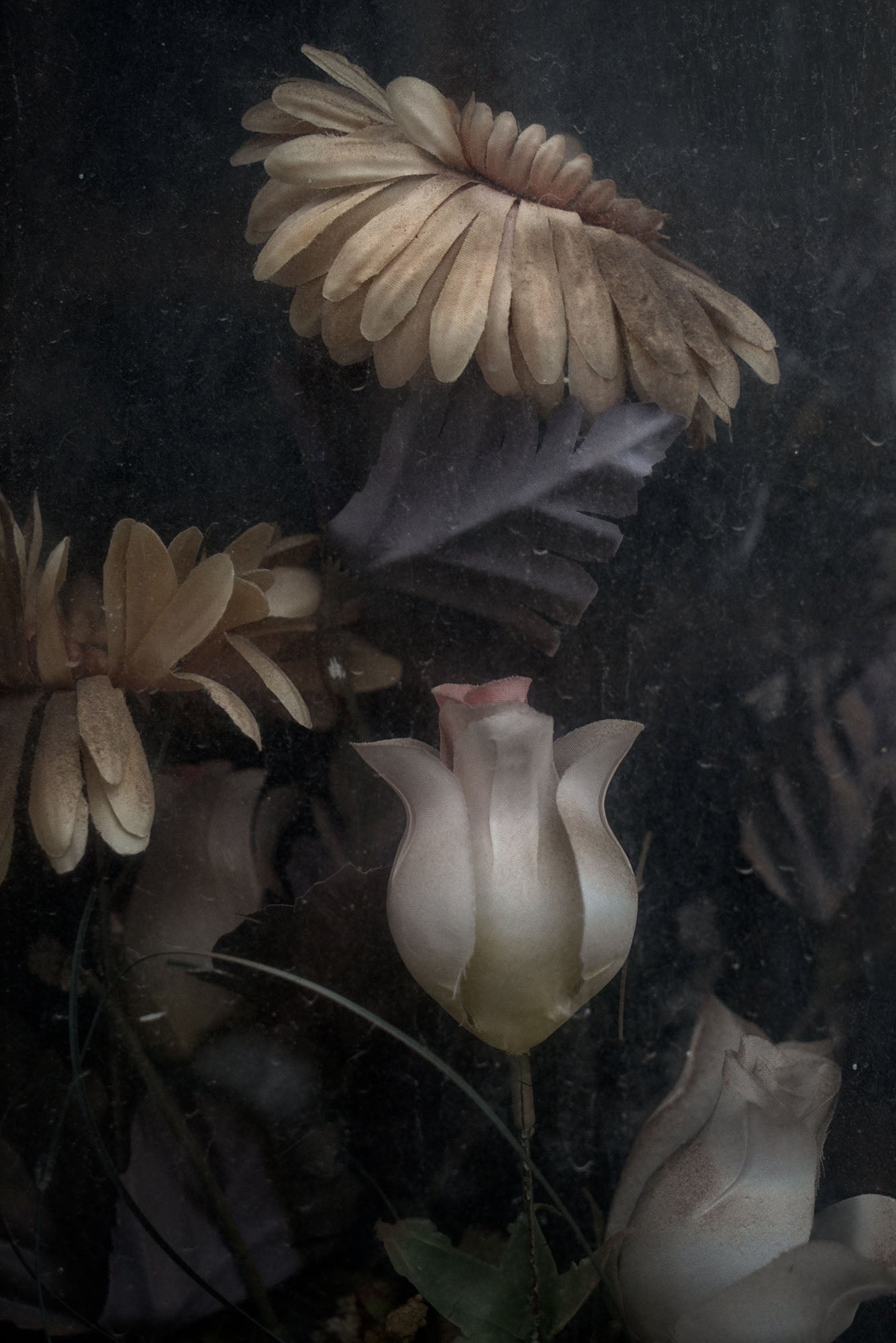 ETERNITY 36, 2008