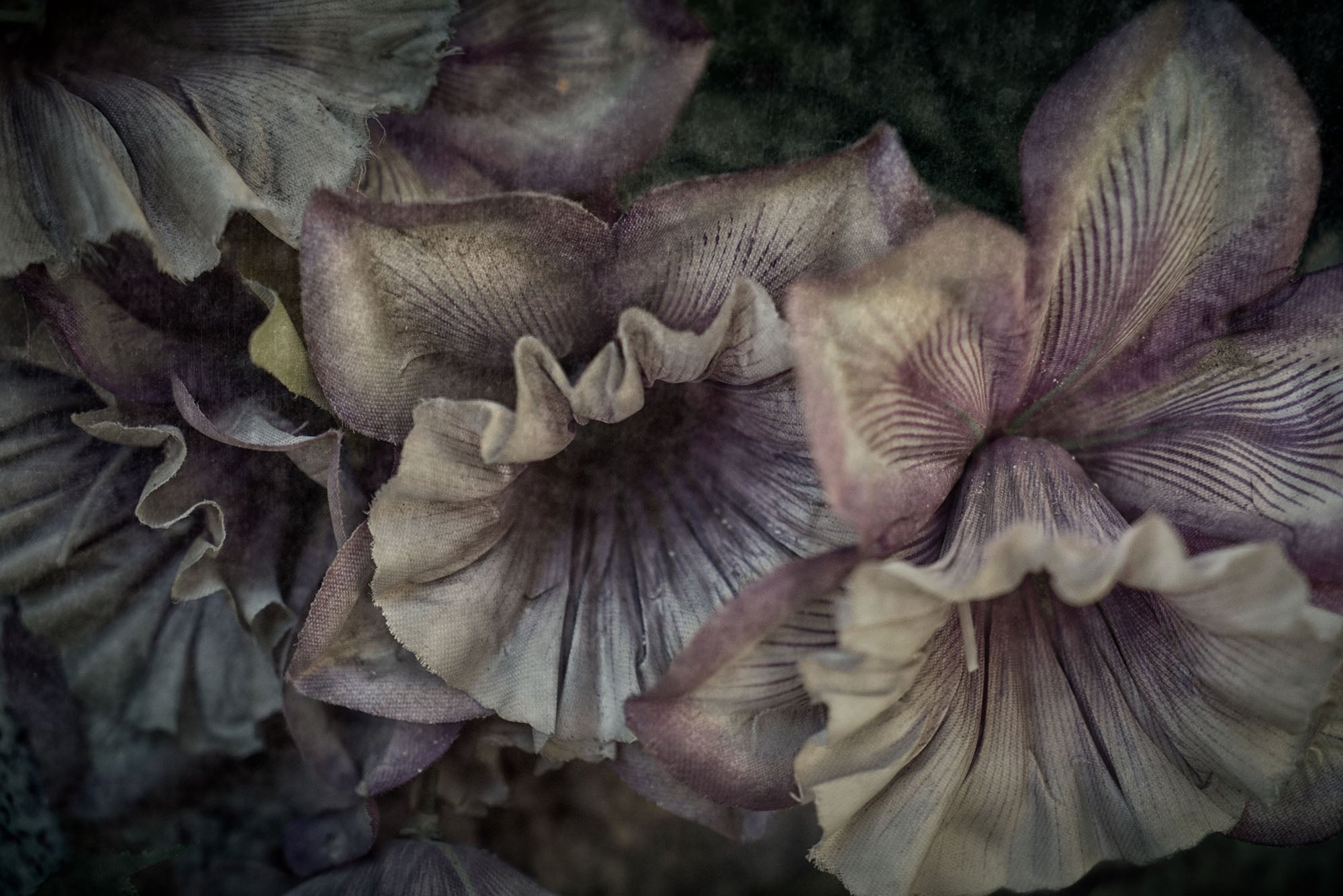 ETERNITY 40, 2006
