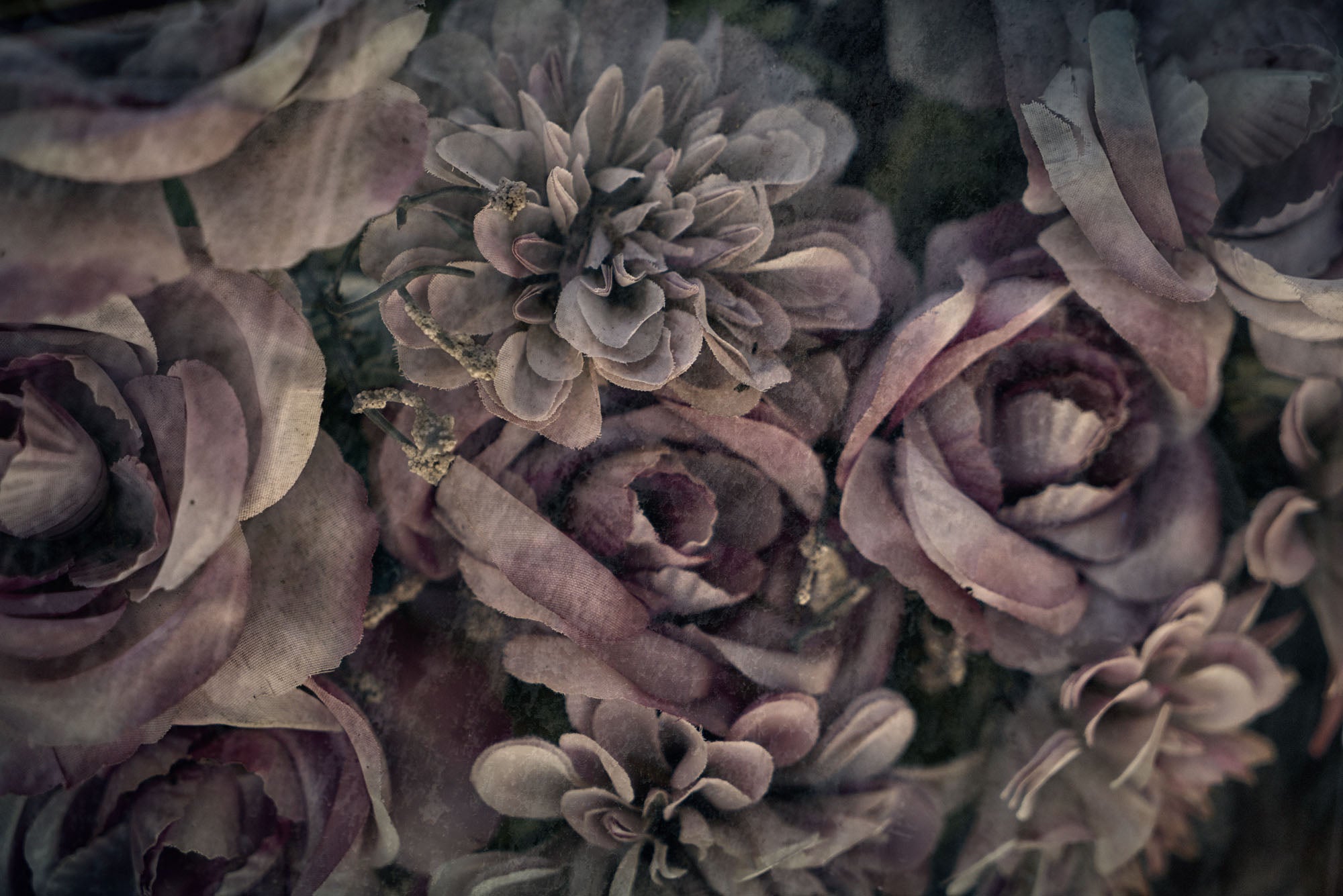 ETERNITY 41, 2008
