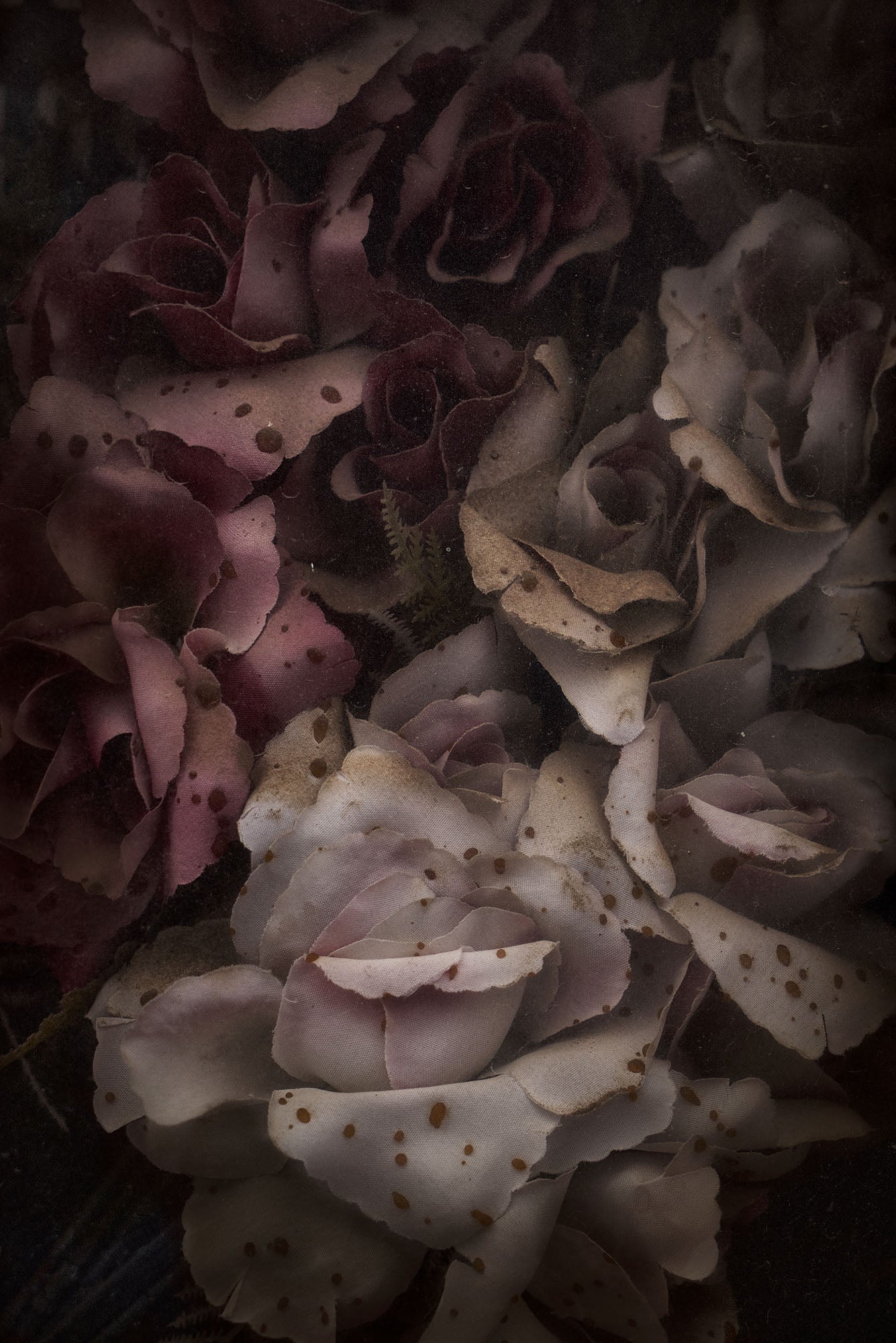 ETERNITY 59, 2011
